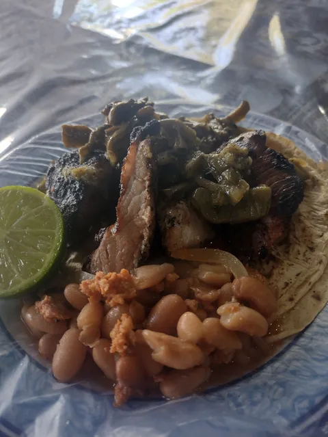 Carnotauro image 1