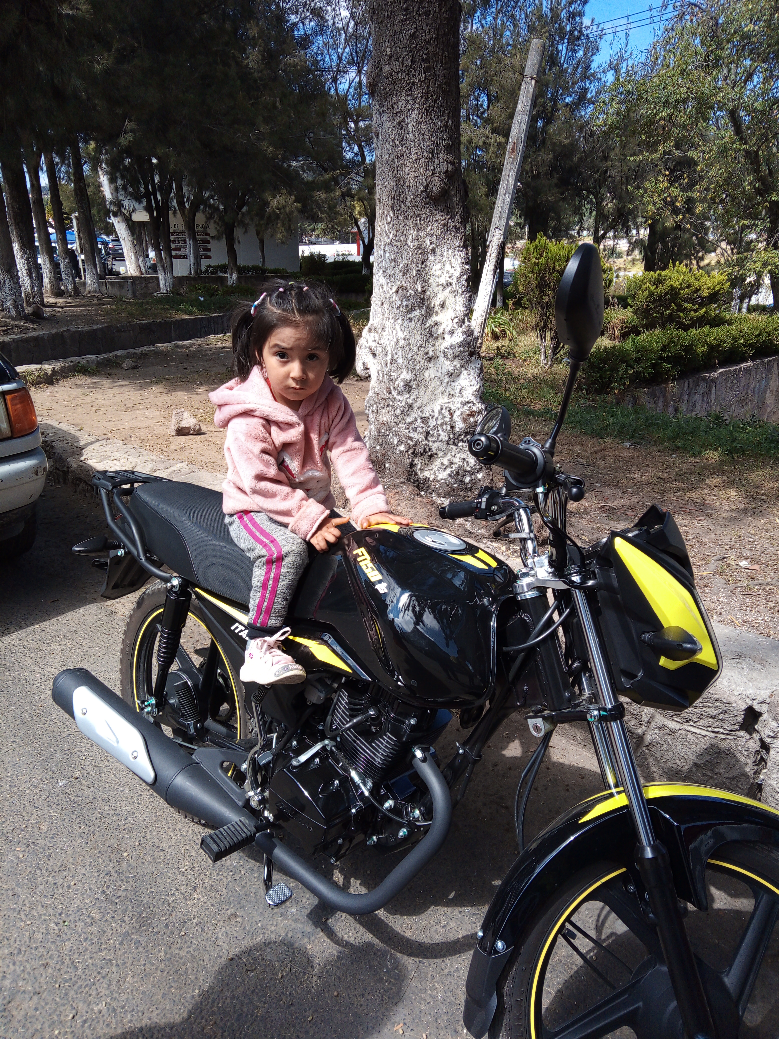 Tacos de Canasta MACH image 1