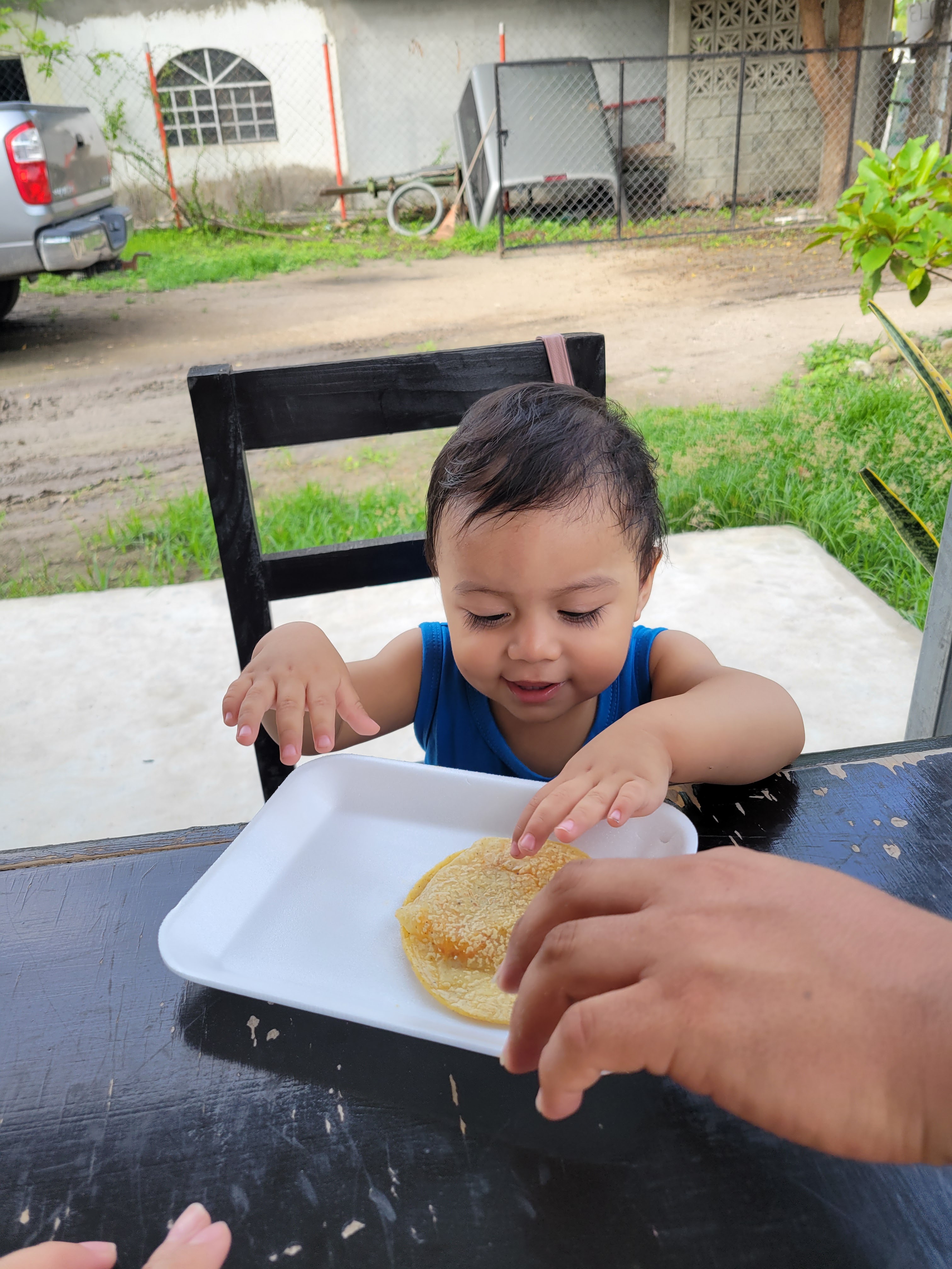 Taquitos al vapor "Don Beto" image 5