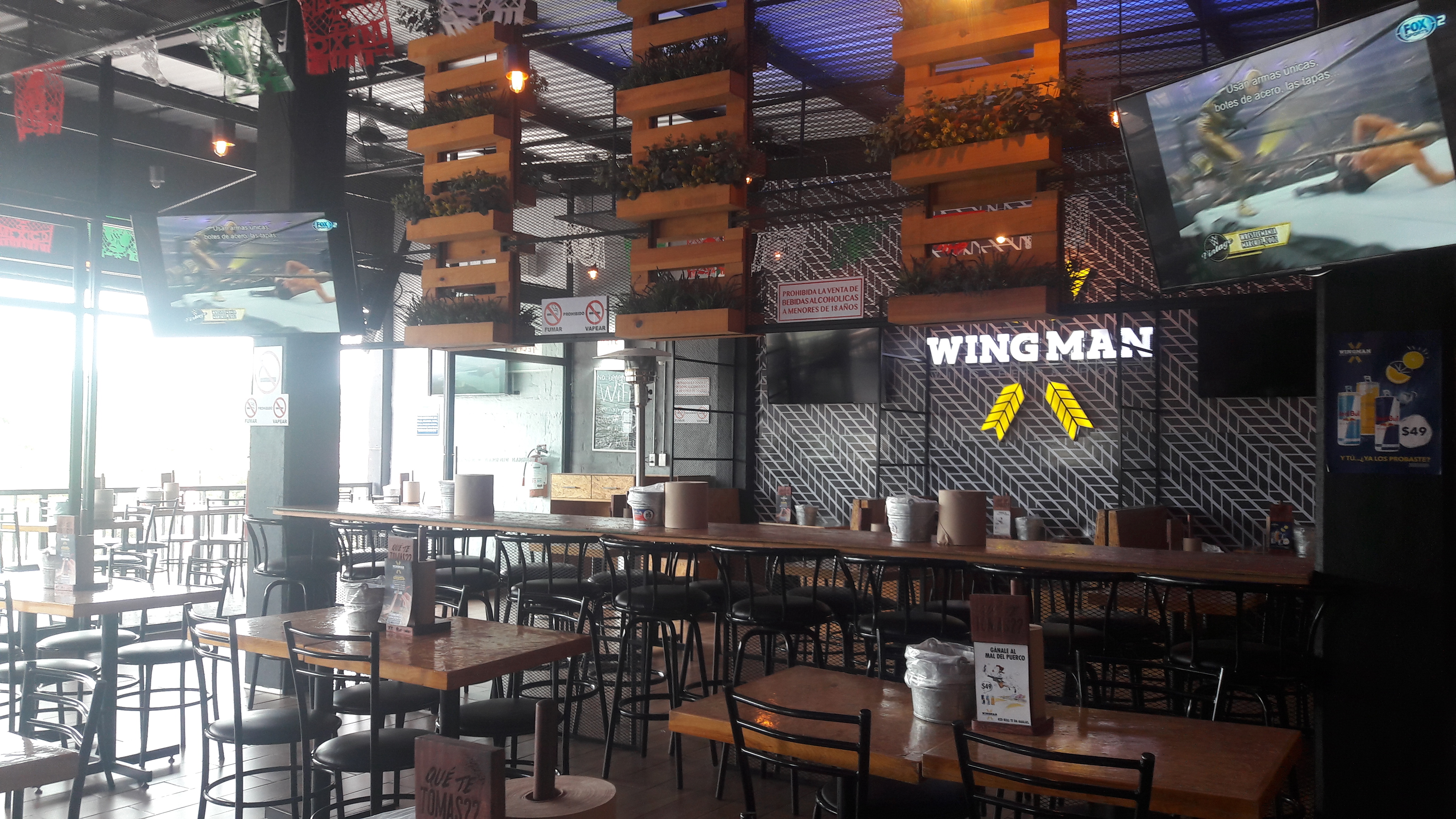 Wingman Vista Sur image 7