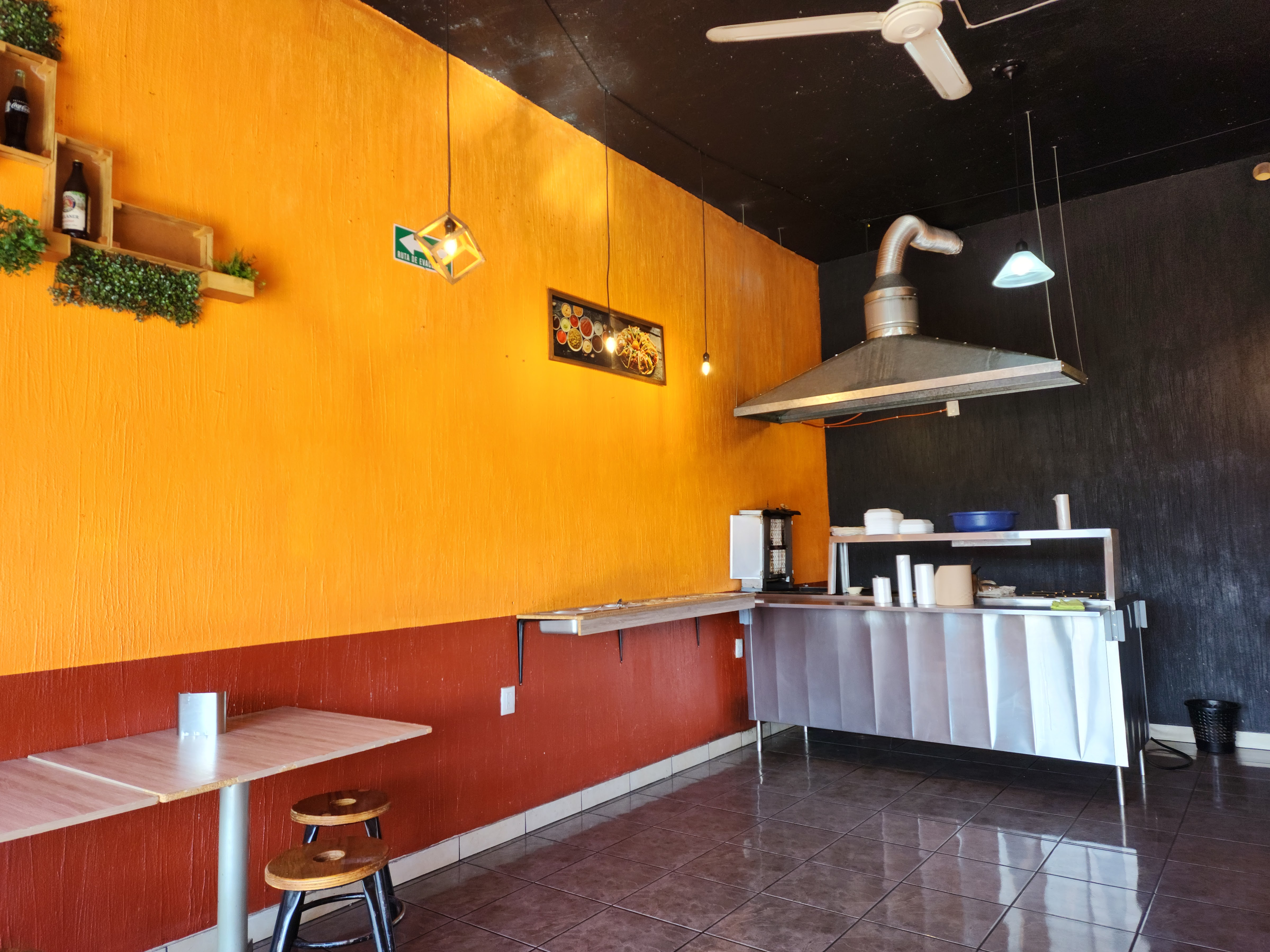 Tacuaches - Taqueria image 2