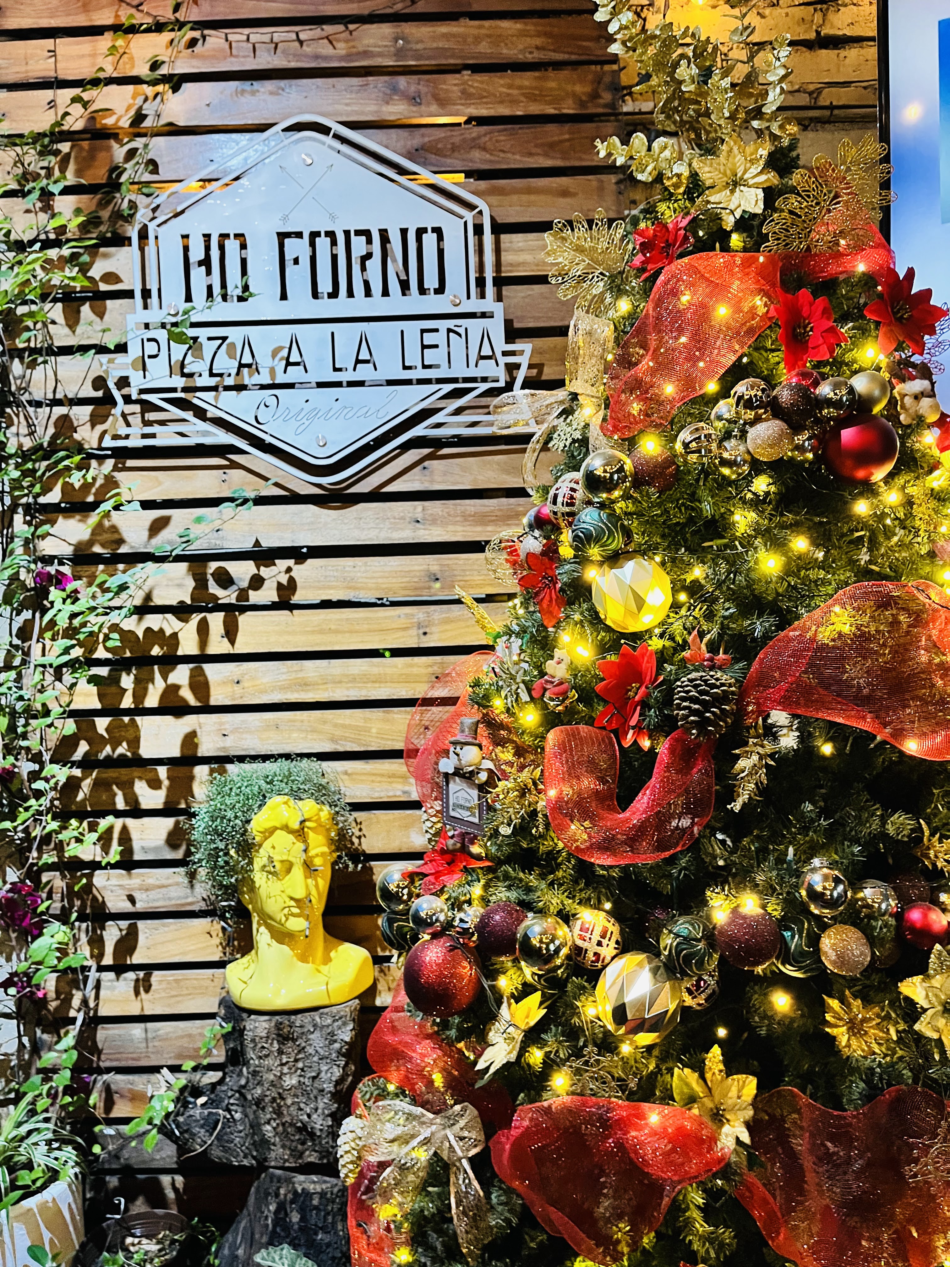 Ho Forno Pizzas a la Leña image 10