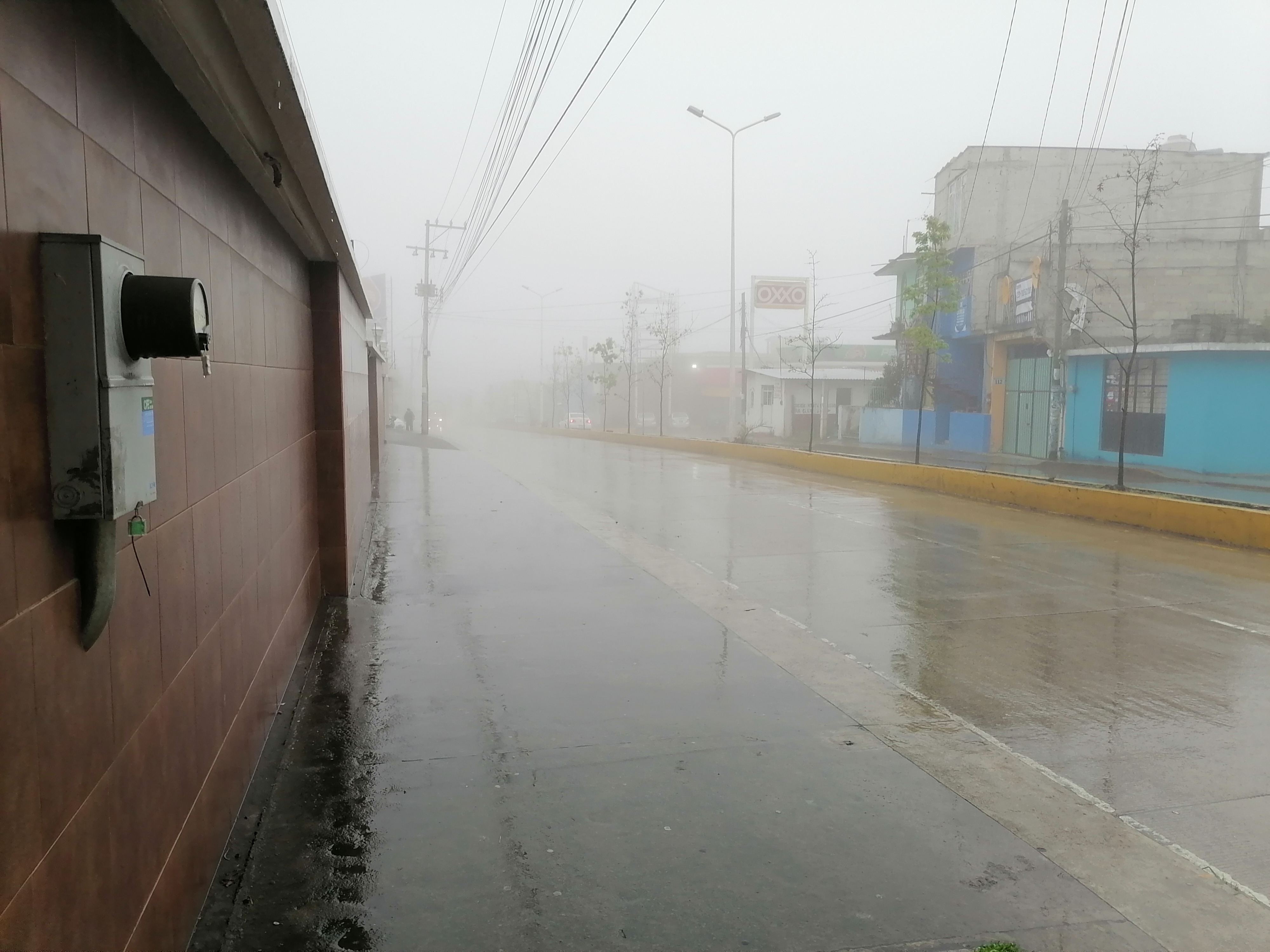 La Palapa Norteña image 5