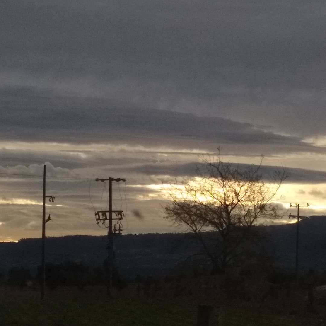 La Palapa Norteña image 6