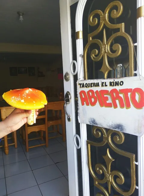 Taqueria El Kino image 3