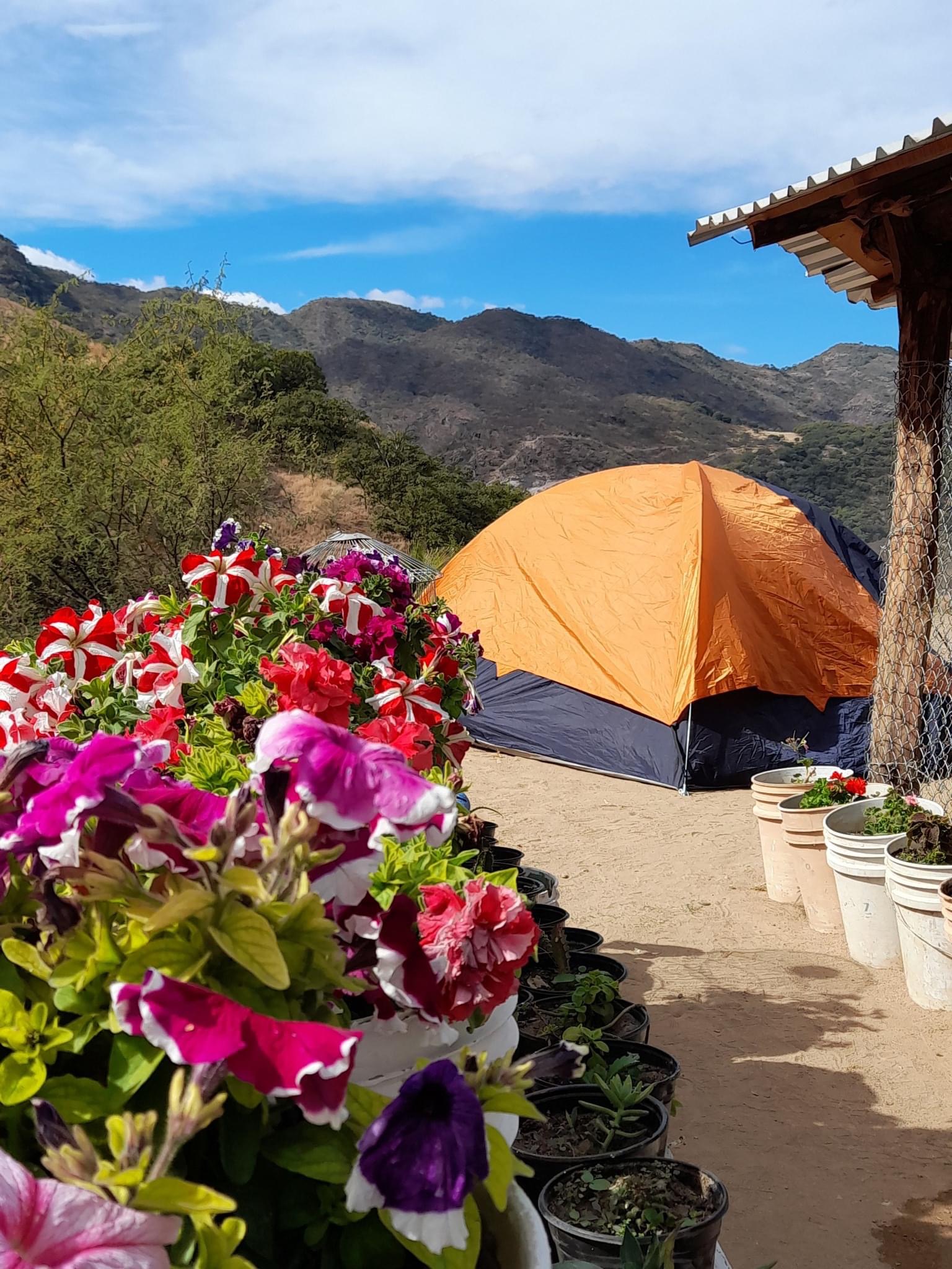 Restaurant 'Mi Ranchito La Tuna' image 8