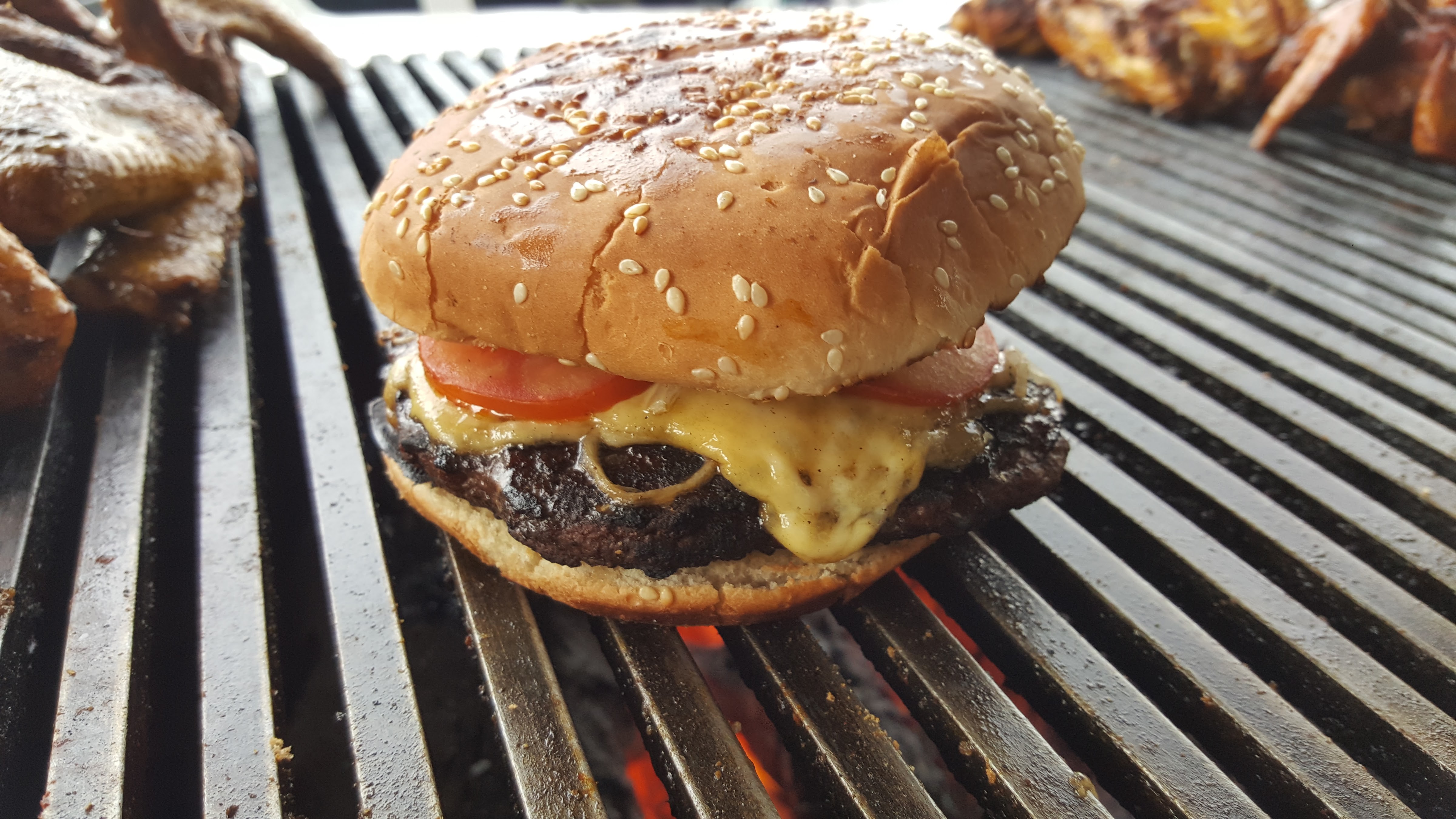 Las Alas del PATO image 10