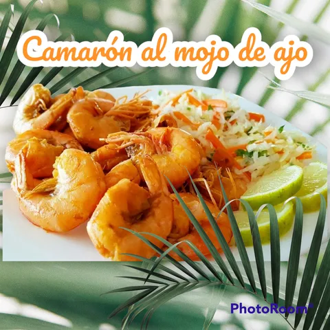Cocina económica PACO image 1