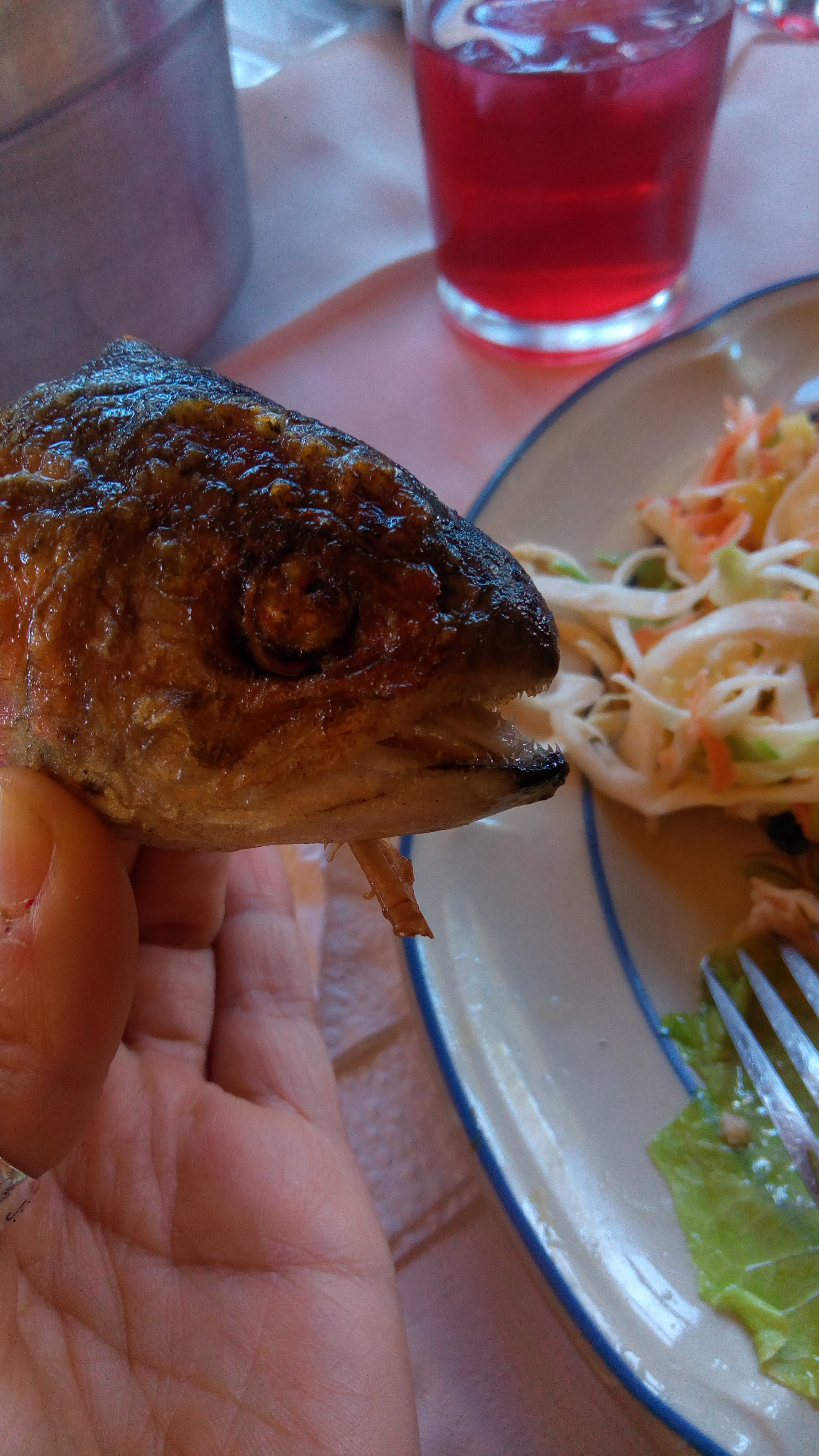 La Trucha Vagabunda image 9