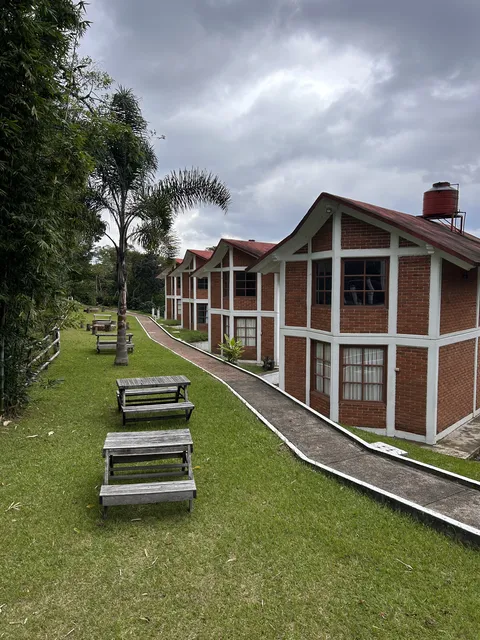 El Mirador image 5