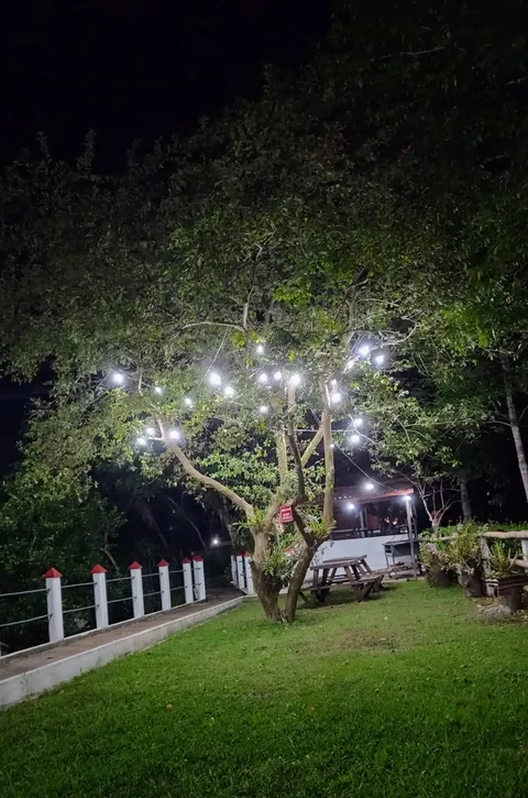 El Mirador image 8
