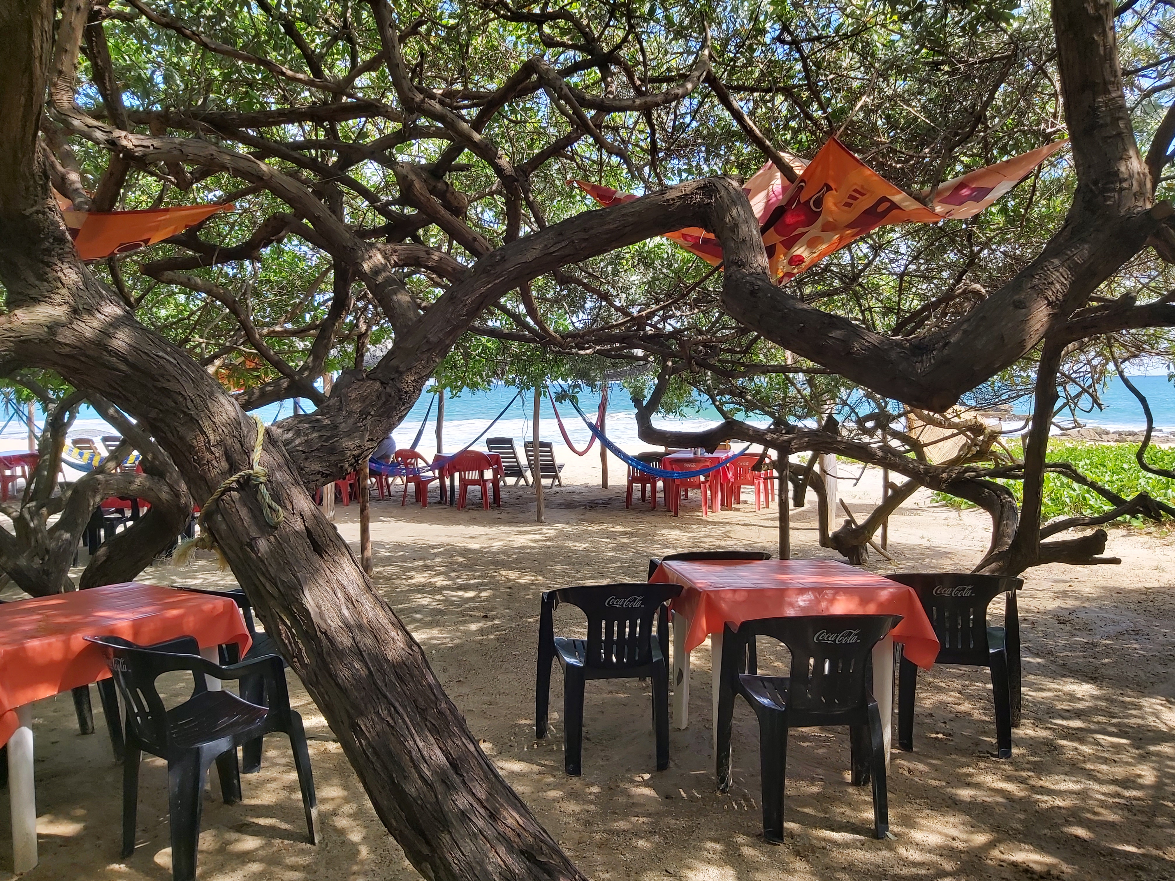 Restaurante La Perlita image 1