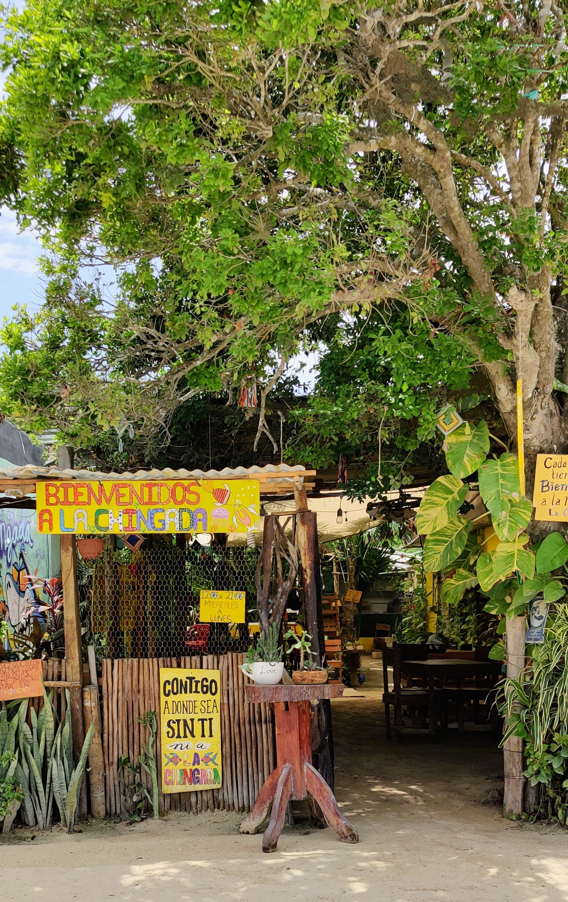 Ceviches La Chingada image 4