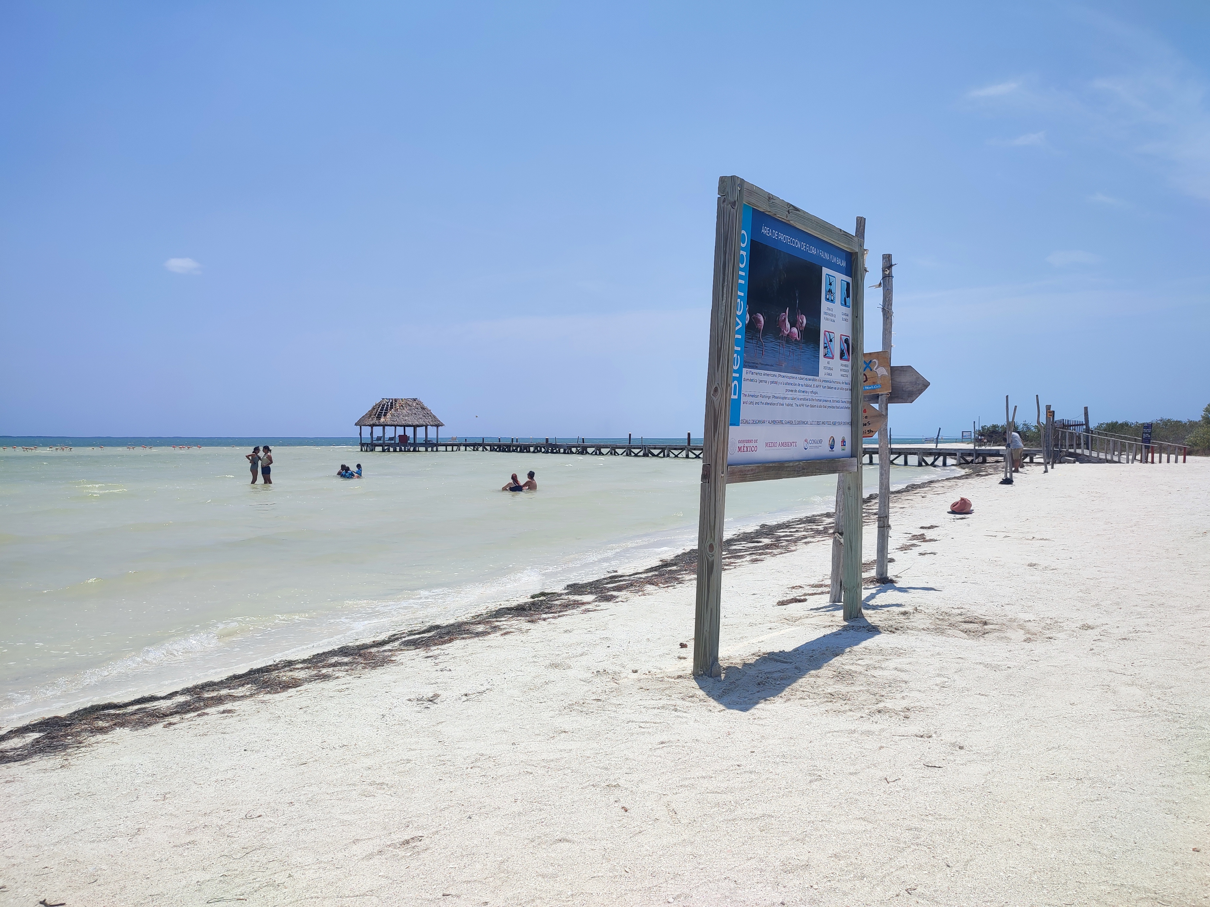 Punta Coco Restaurant Bar image 6