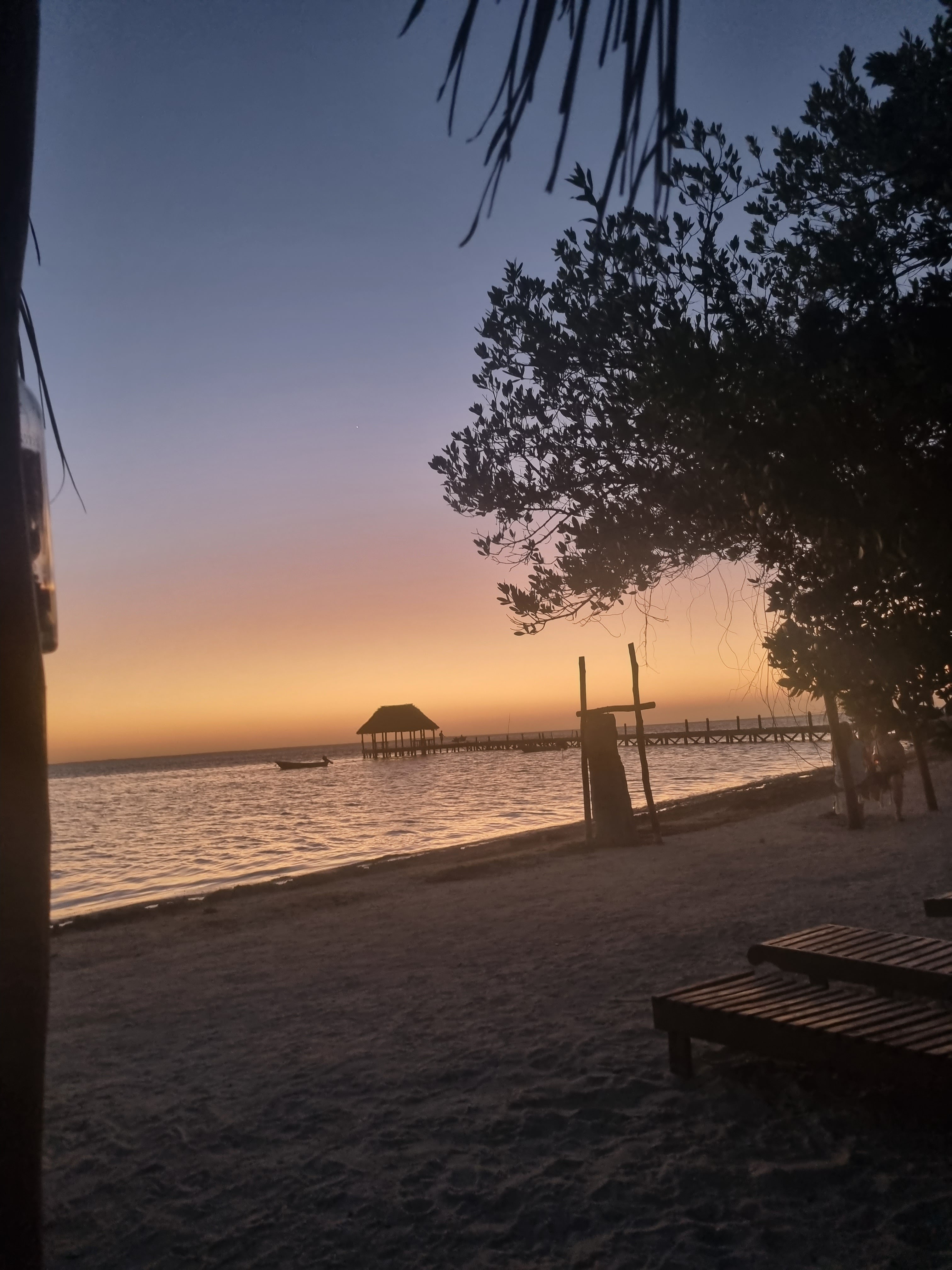 Punta Coco Restaurant Bar image 8