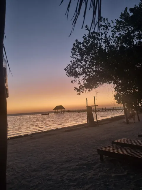 Punta Coco Restaurant Bar image 8
