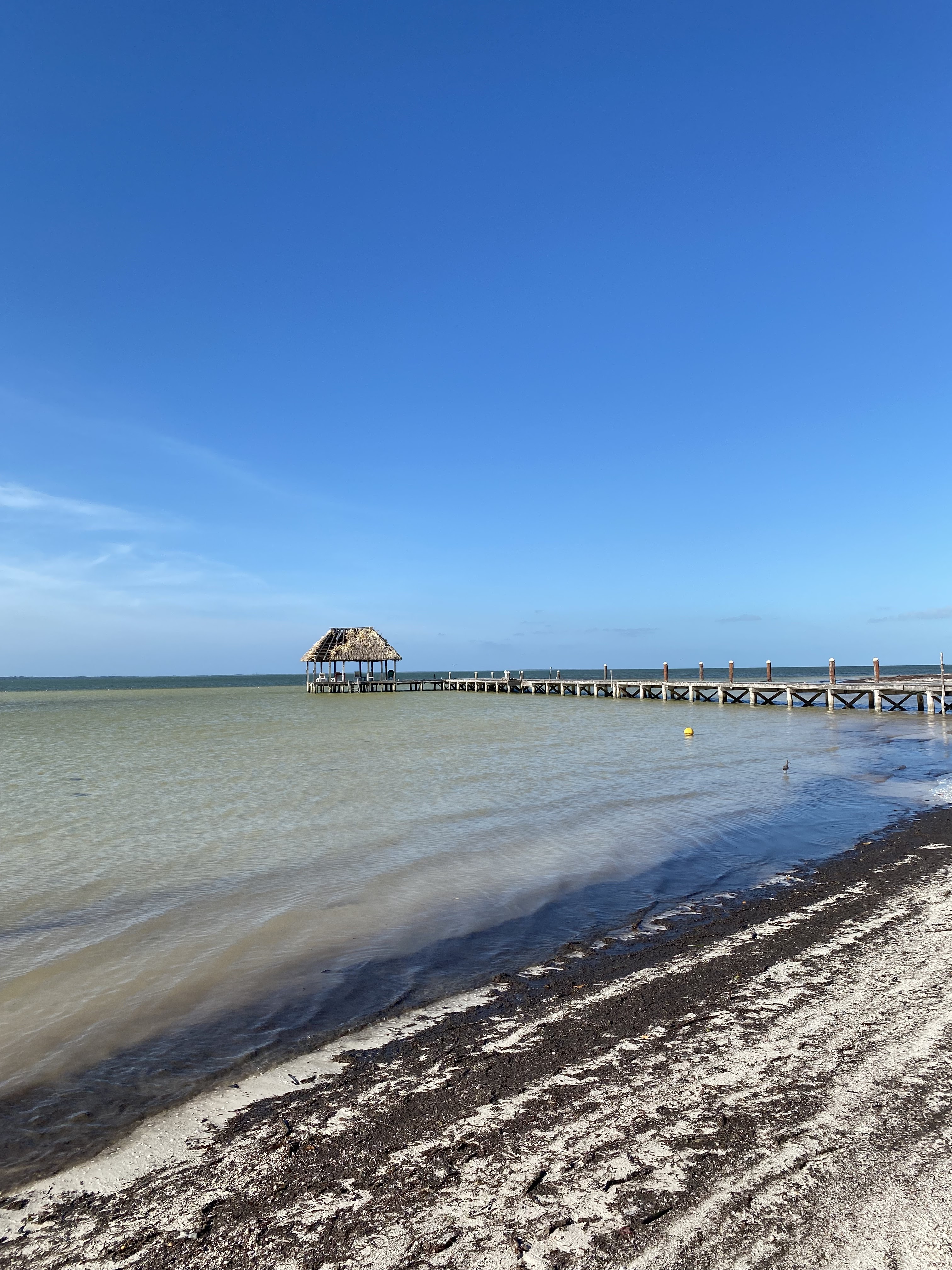 Punta Coco Restaurant Bar image 10