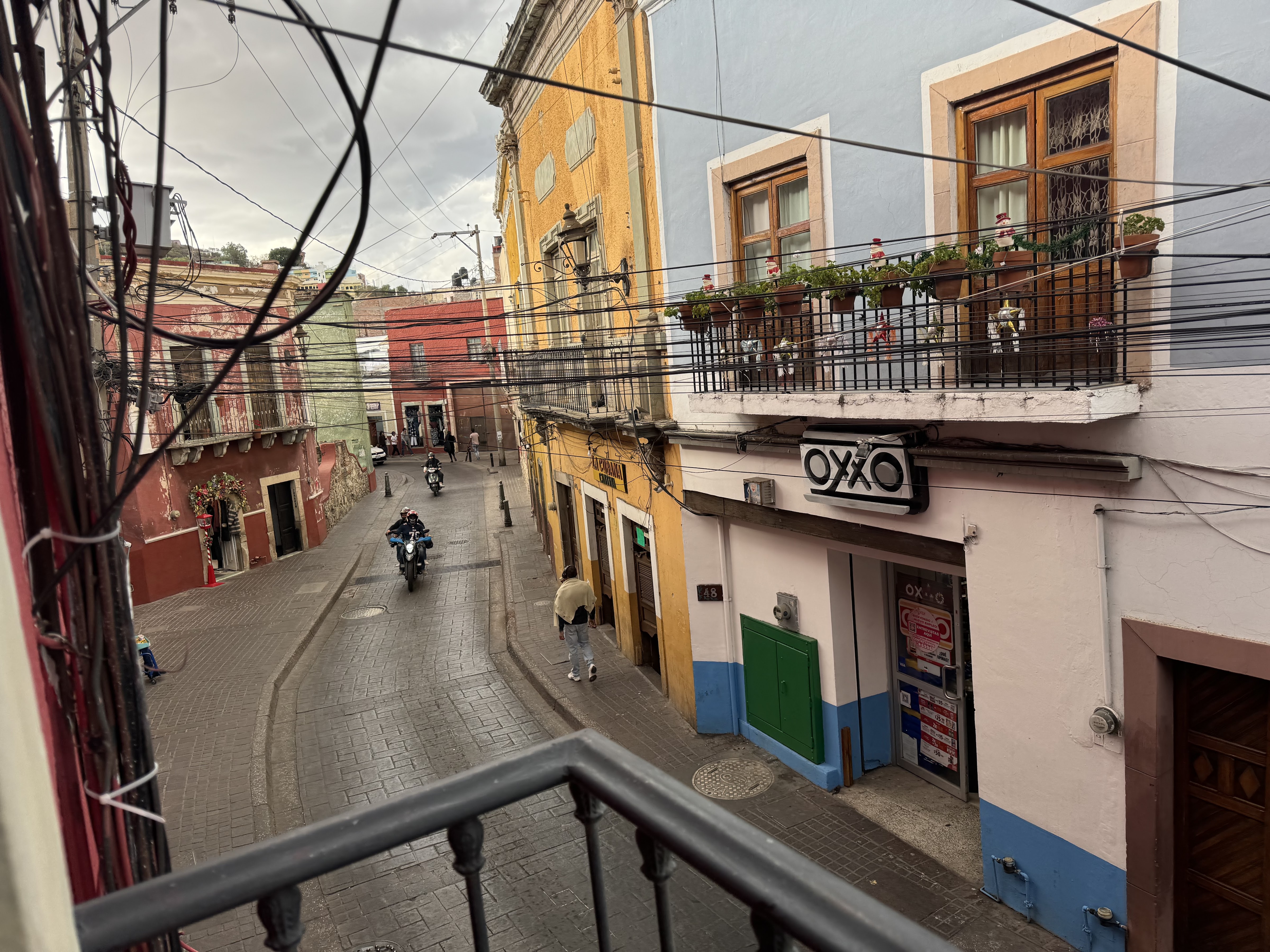 Enchiladas de Lupe image 6