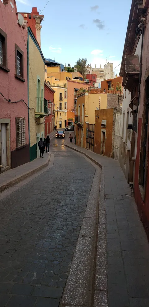 Escarola image 3