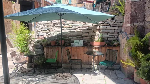 Escarola image 6