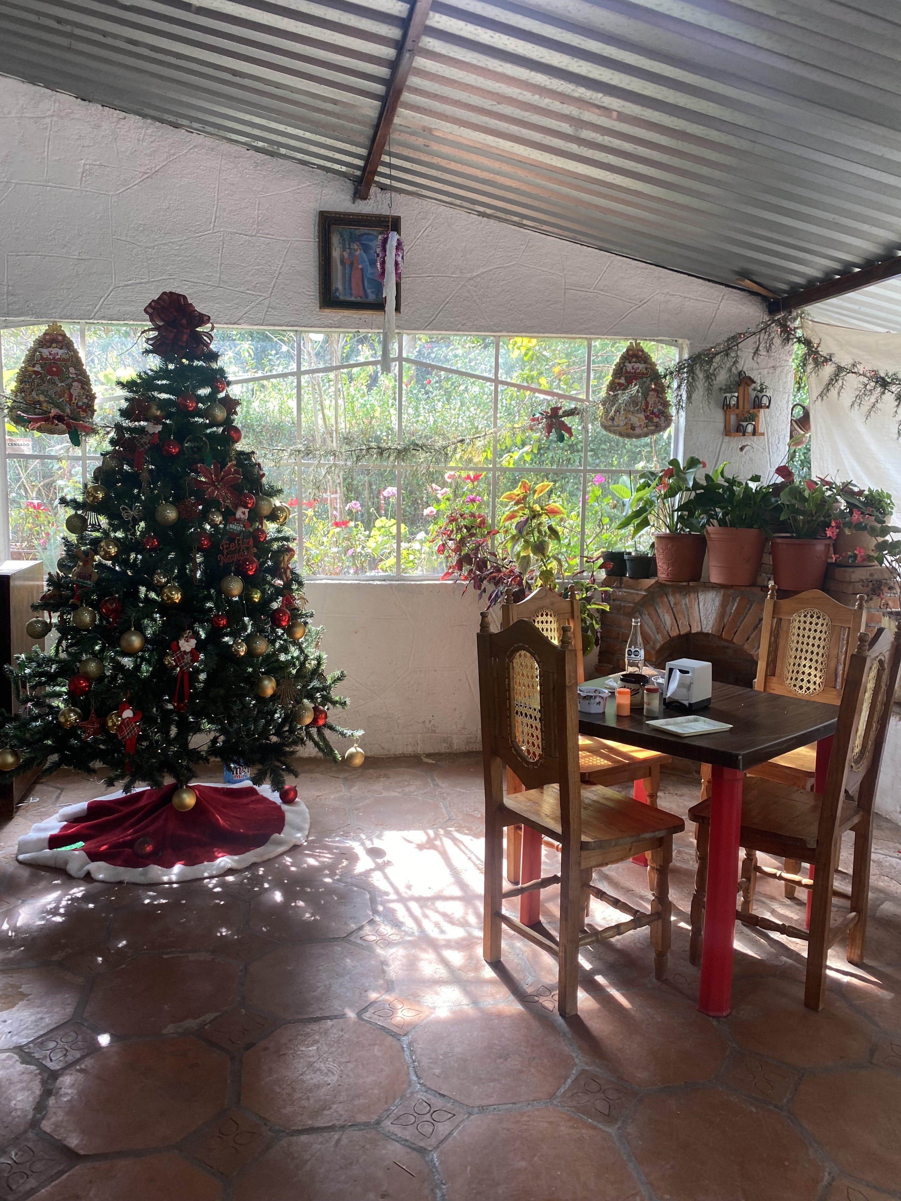 Miscelánea Aribal image 5