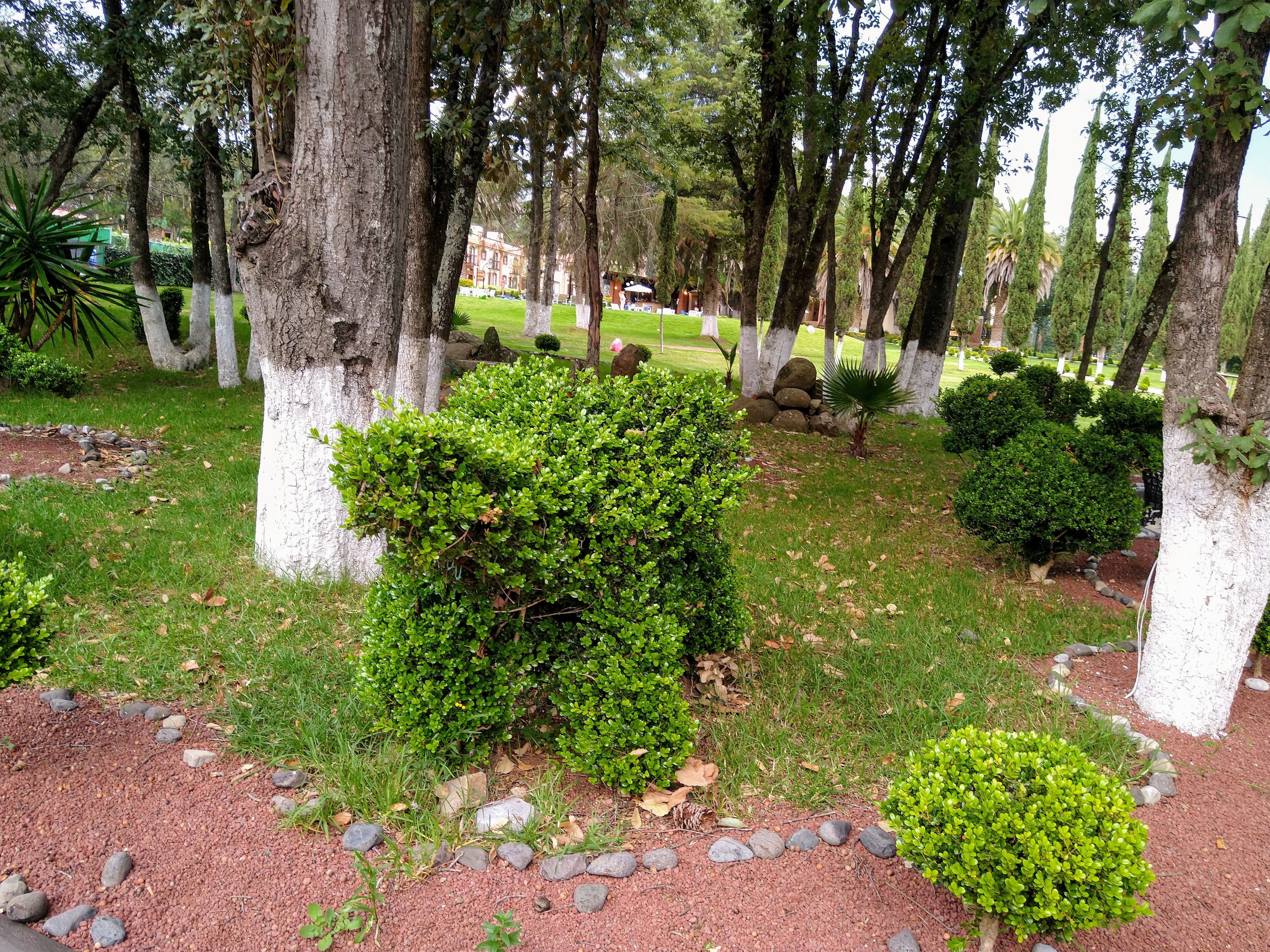 Miscelánea Aribal image 7