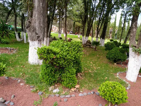 Miscelánea Aribal image 7