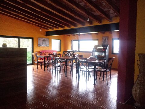 Del Patrón image 1