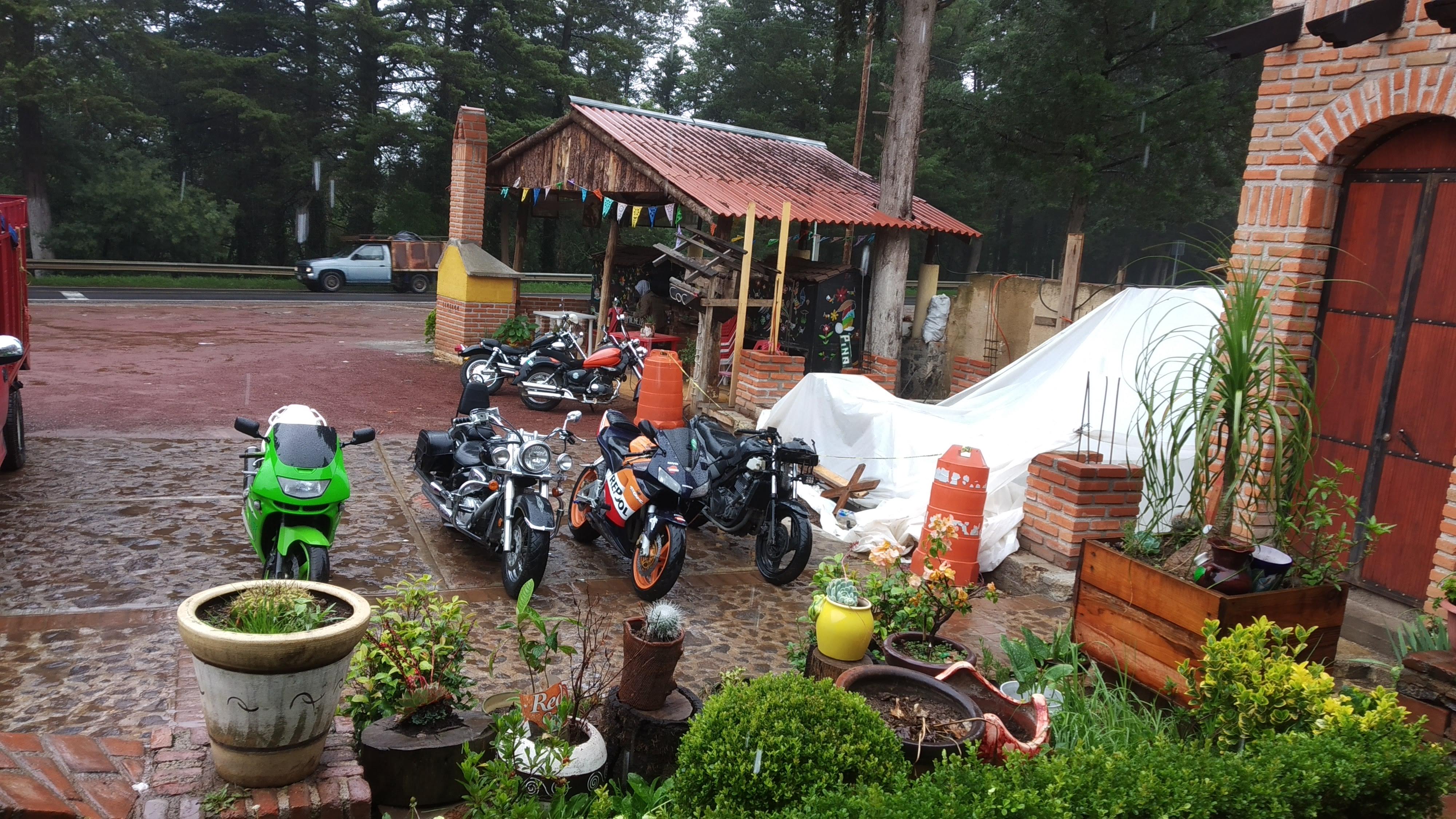 La Mejor Cecina De Omitlan image 10