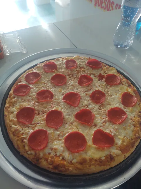 Suculenta Pizza image 1