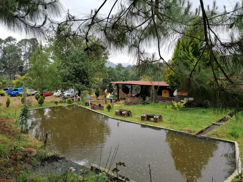 La Gaviota image 5