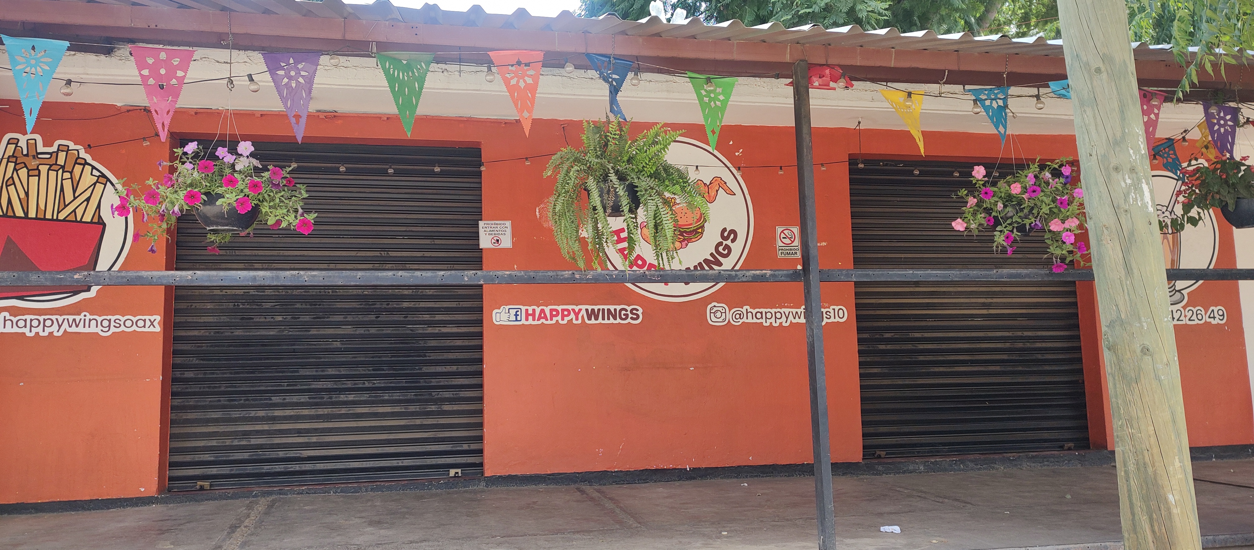 Happy Wings MX image 1