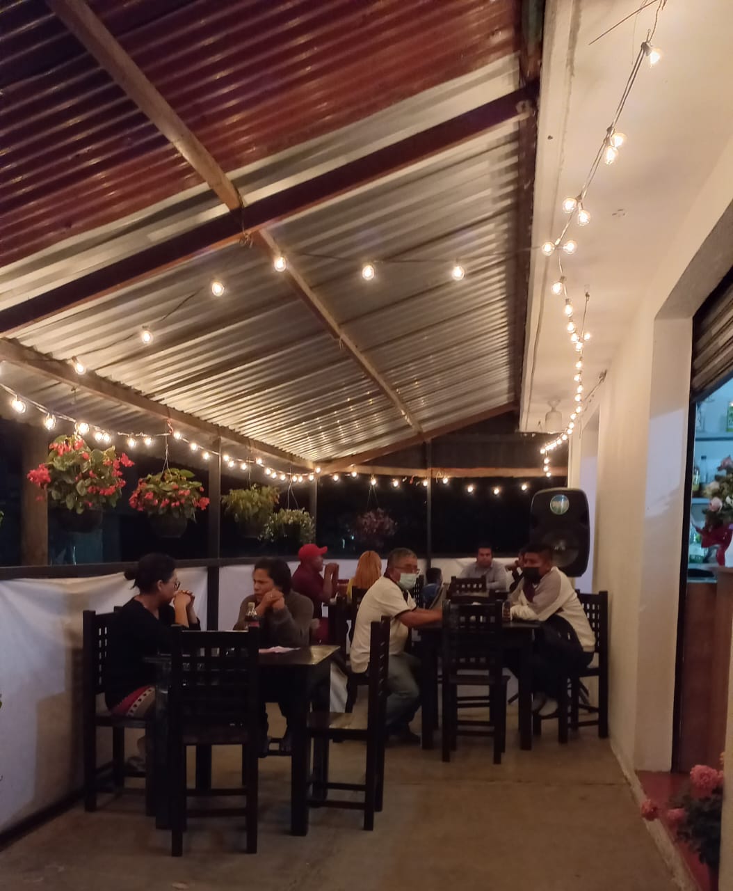 Happy Wings MX image 5