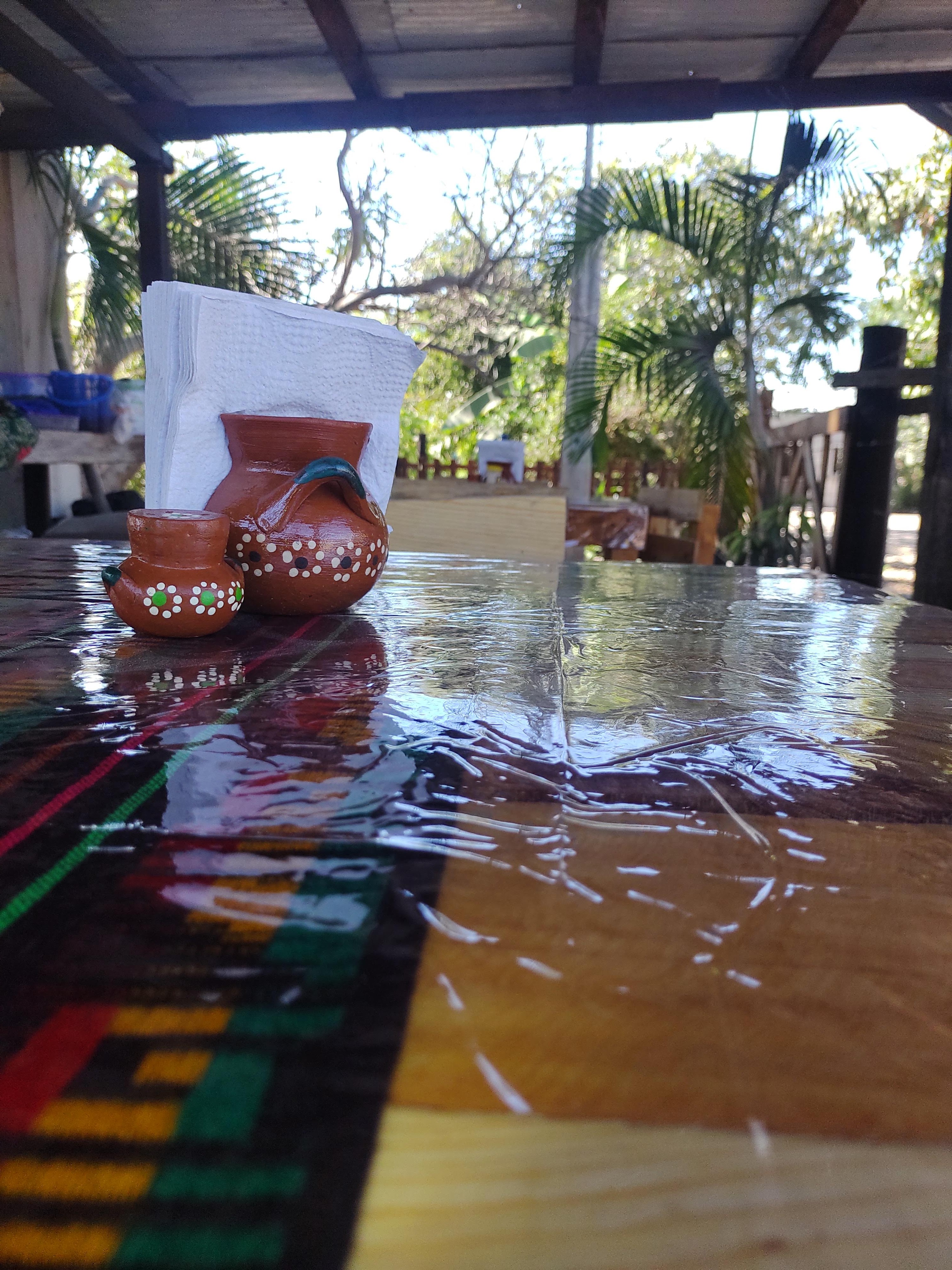 Borrego Tatemado Sinaloa image 8