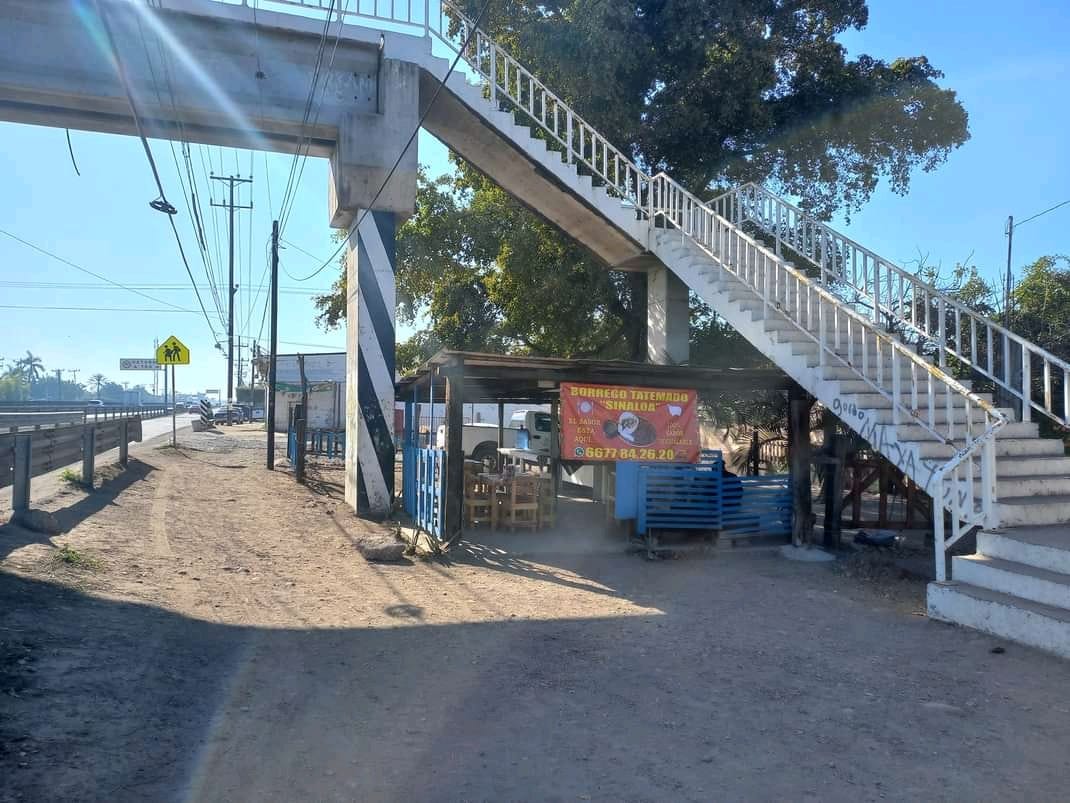 Borrego Tatemado Sinaloa image 9