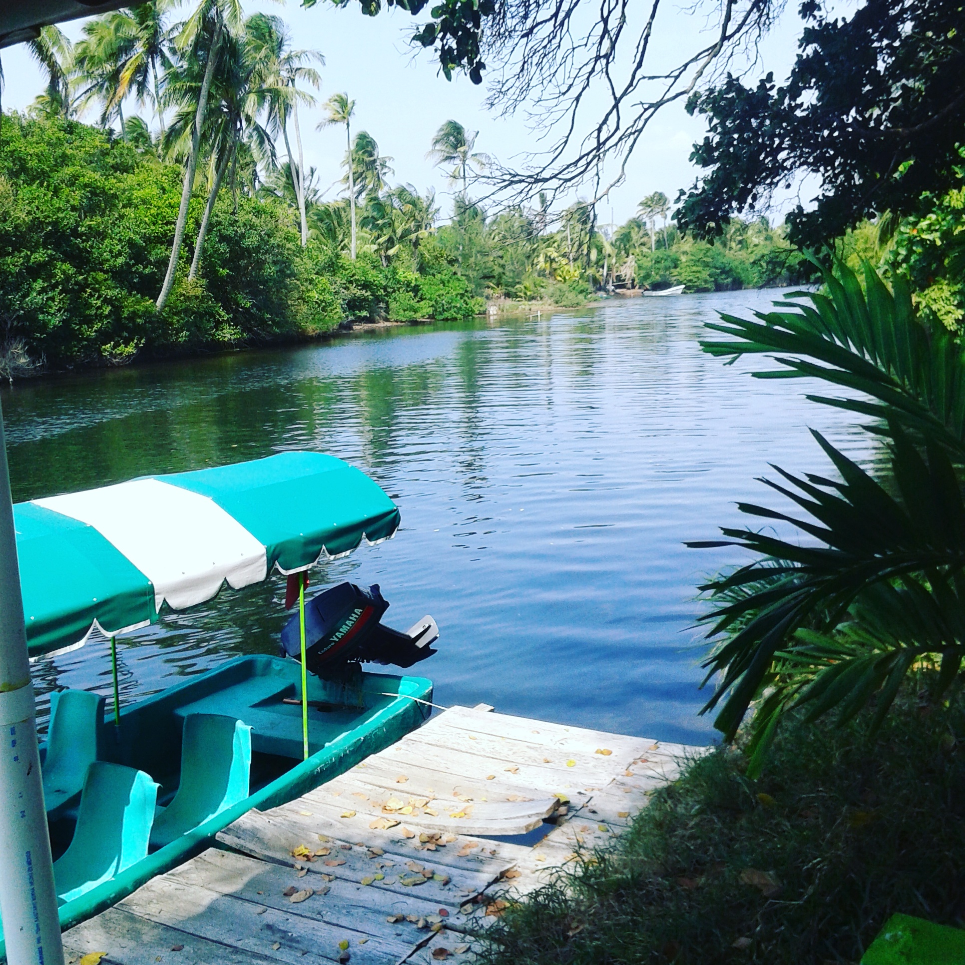 Mariscos El Paraíso image 6