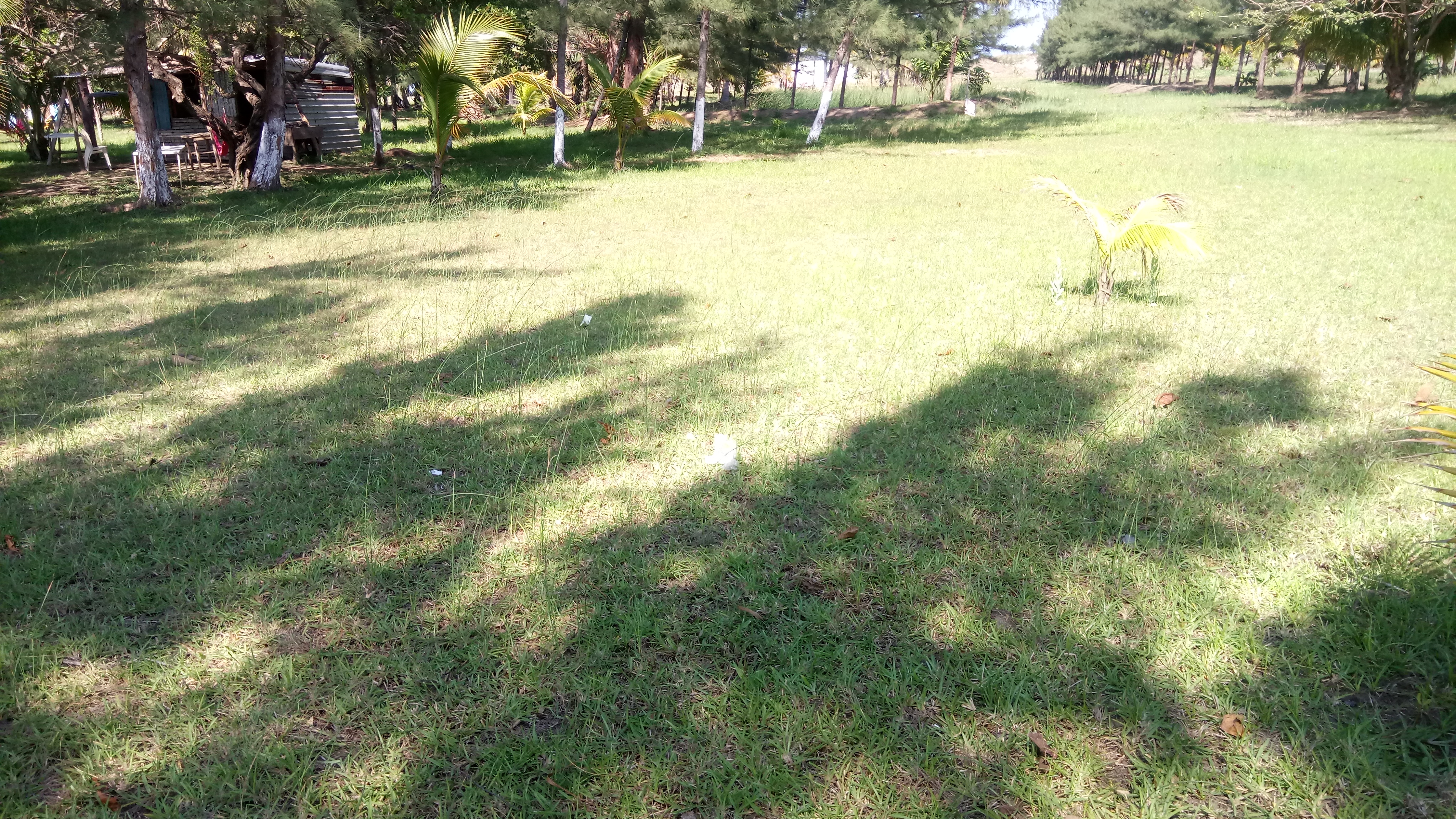 la isla restaurante de mariscos image 2