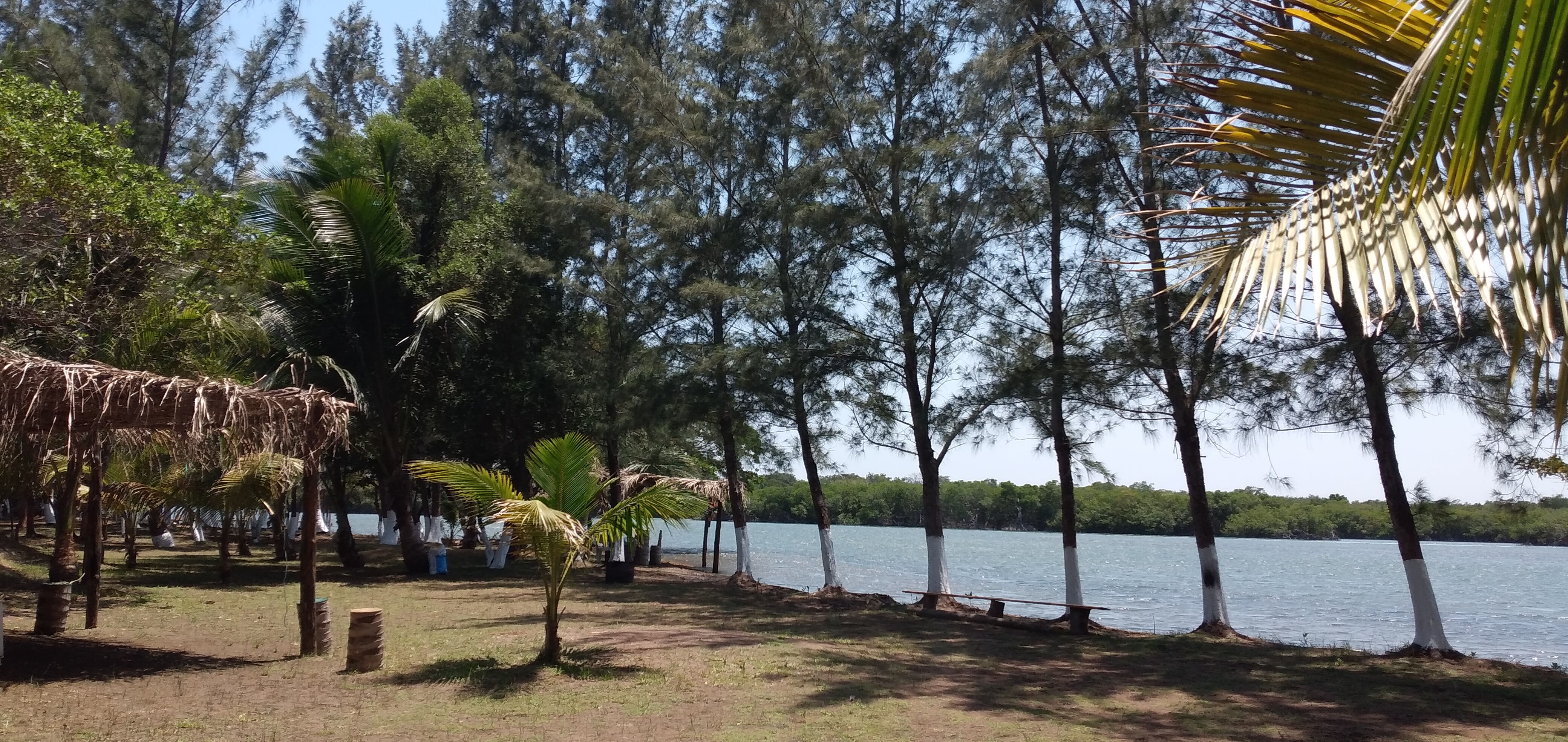 la isla restaurante de mariscos image 3