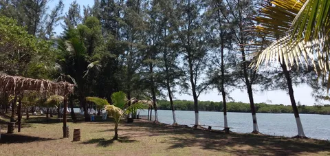 la isla restaurante de mariscos image 3