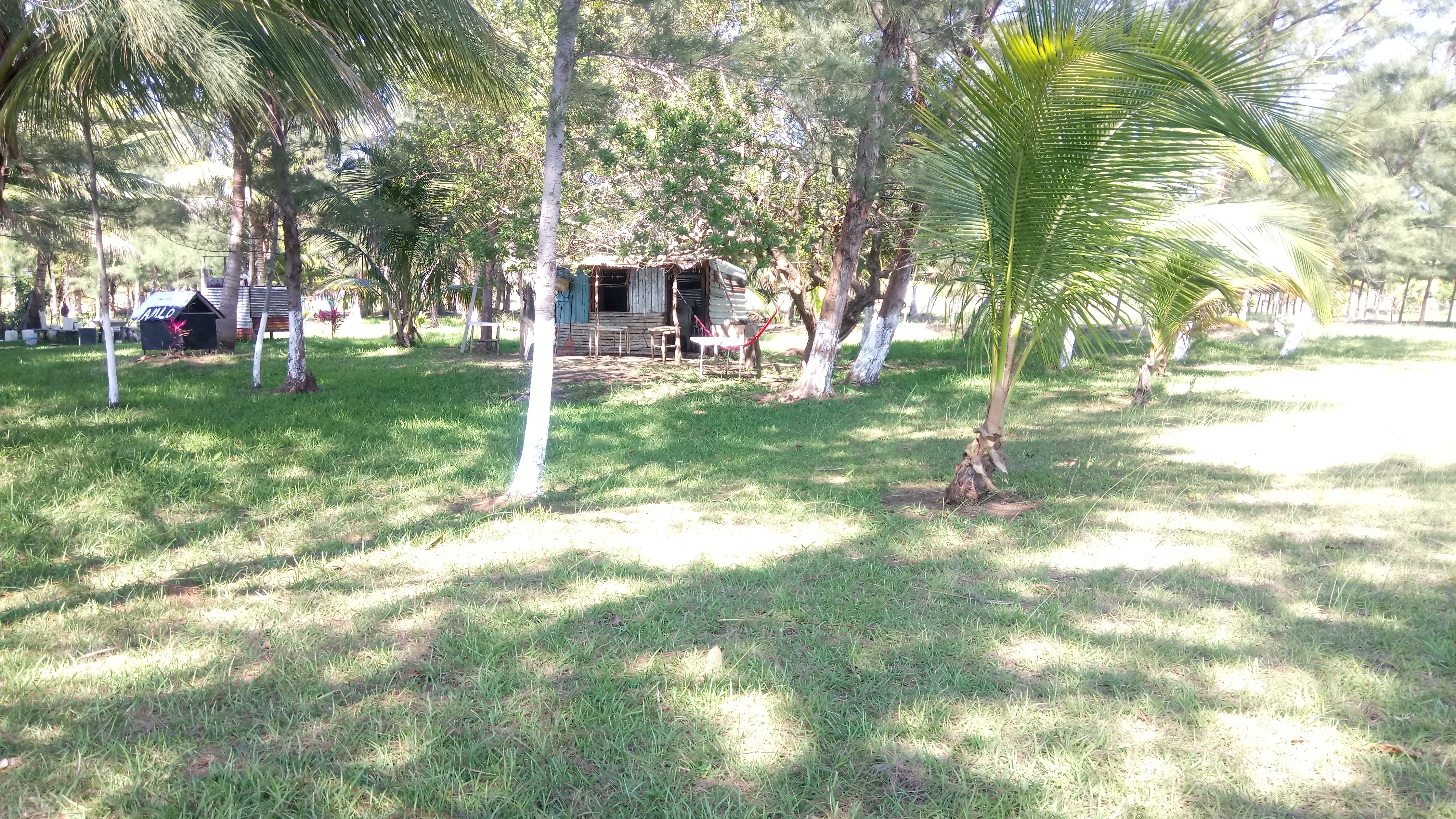 la isla restaurante de mariscos image 7