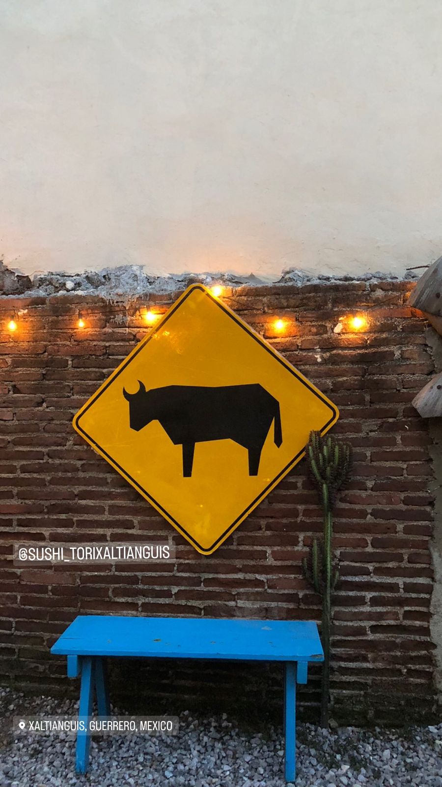 SUSHI TORI XALTIANGUIS image 7