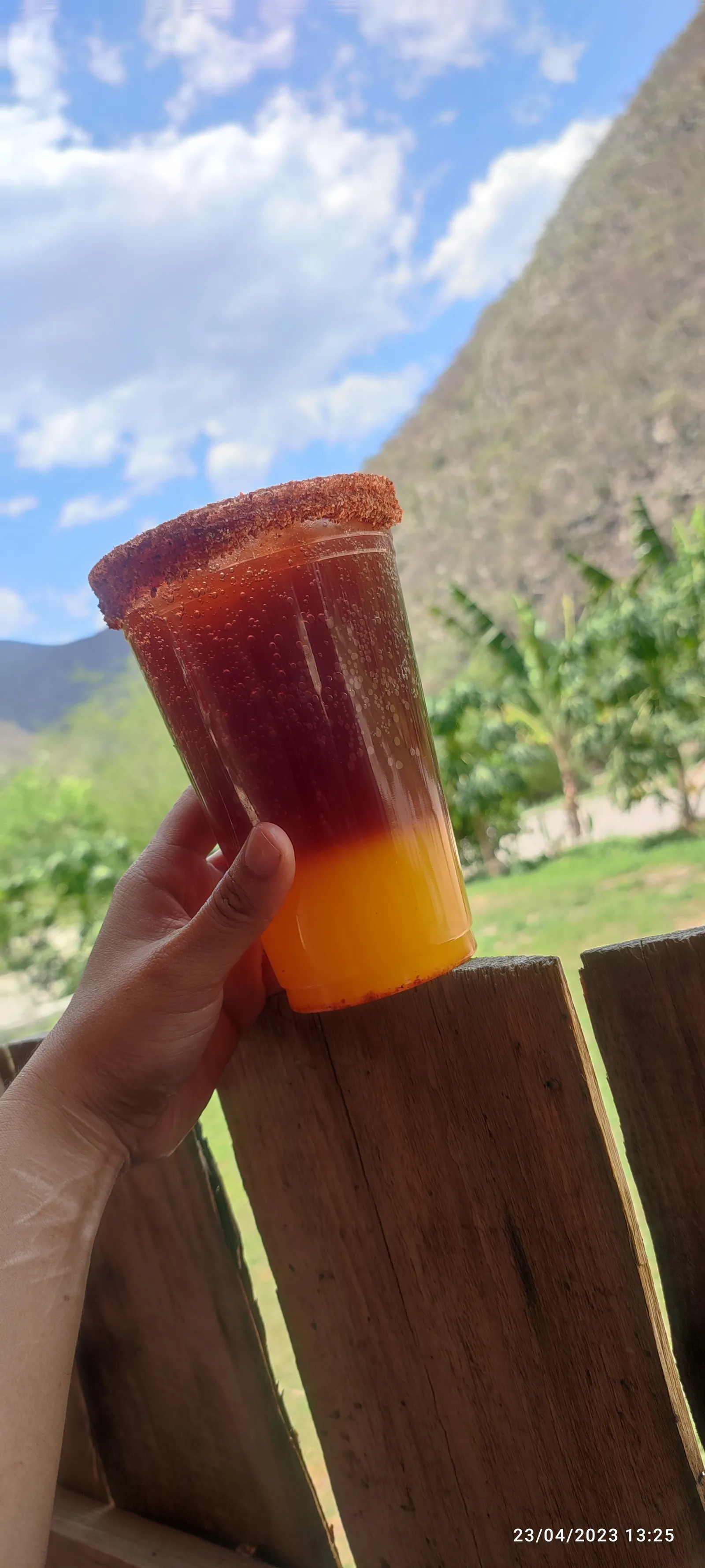 Rancho "Los Sauces" image 6