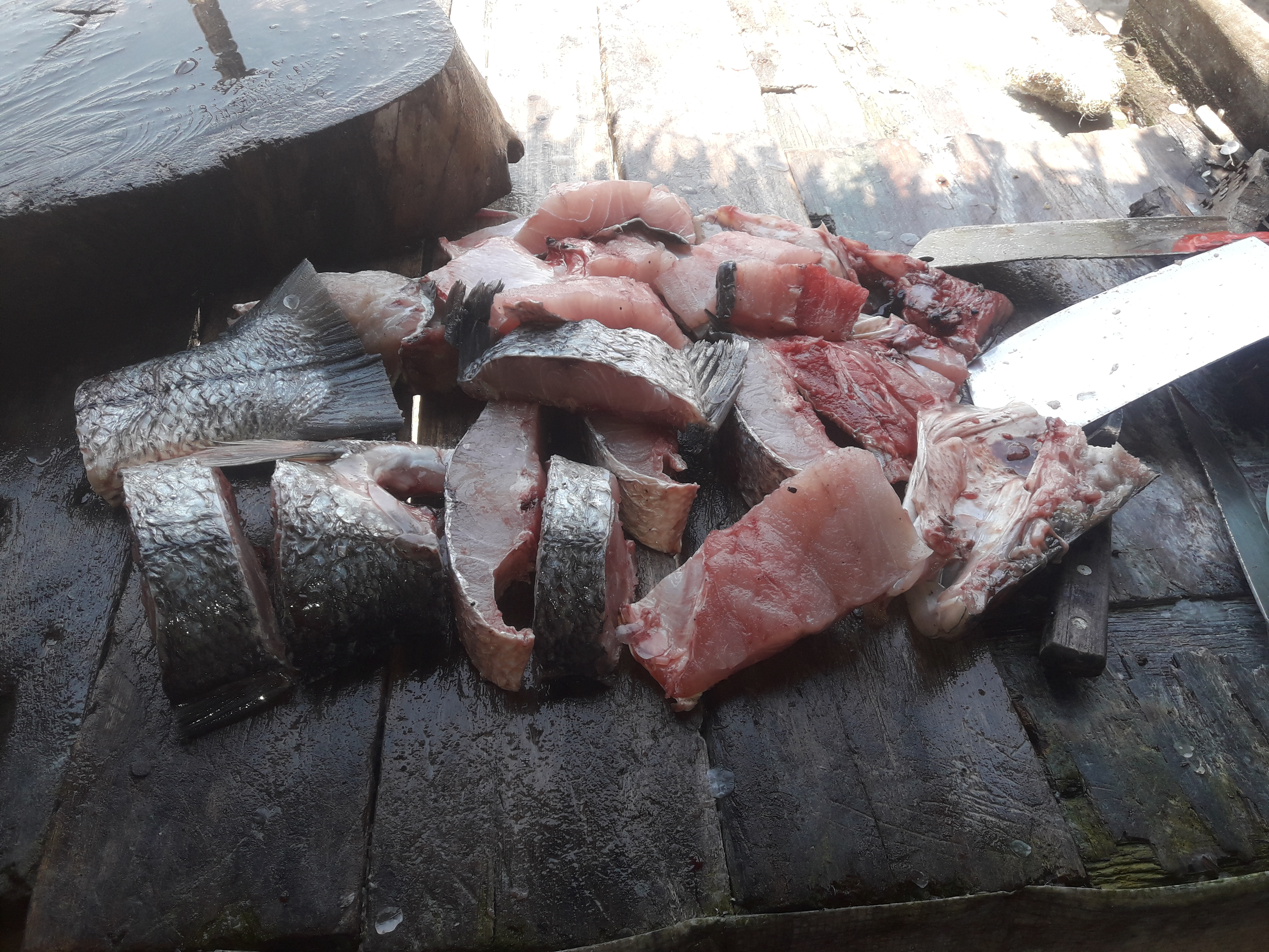 PALAPA LA BRISA image 1