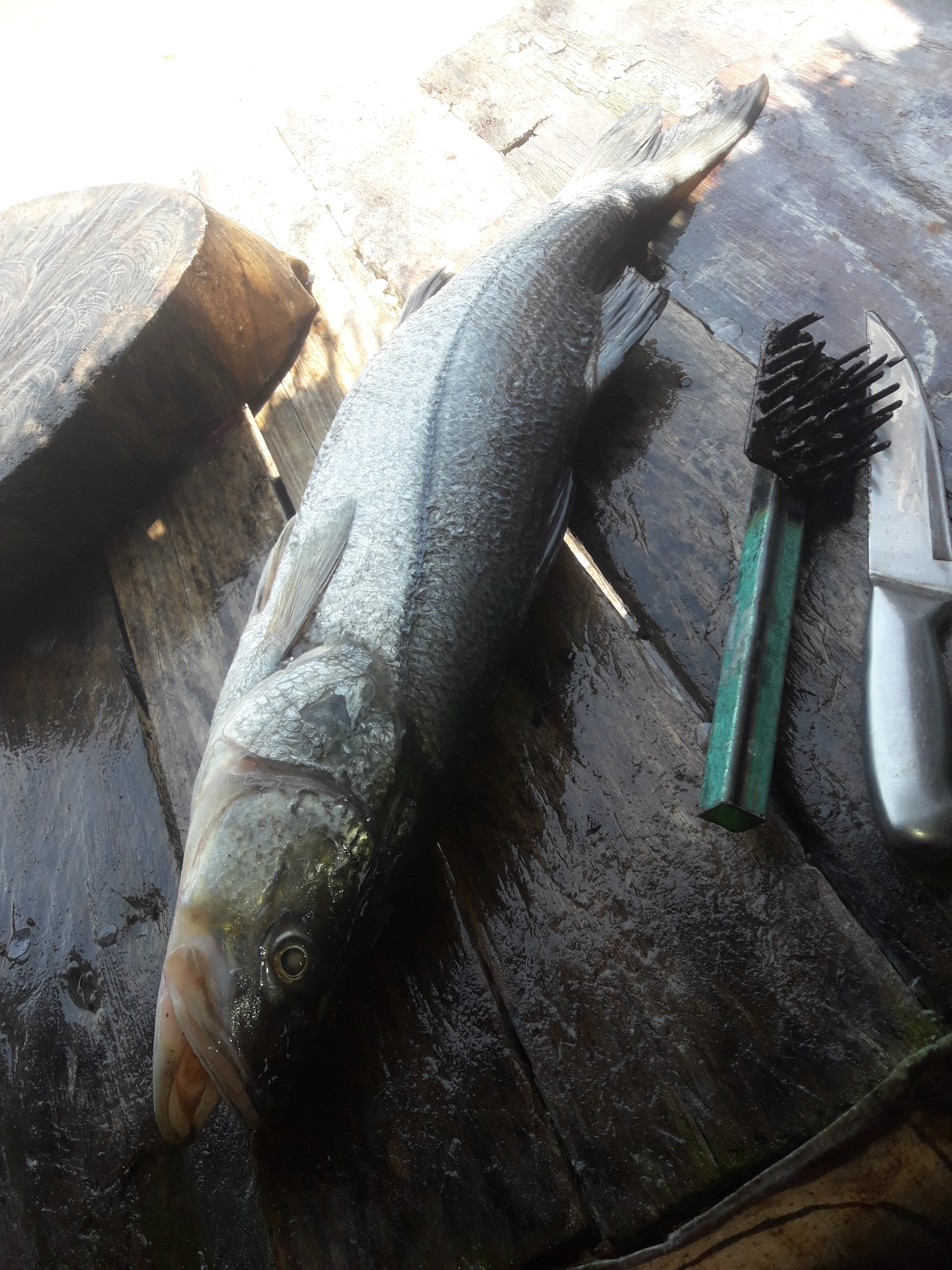 PALAPA LA BRISA image 5