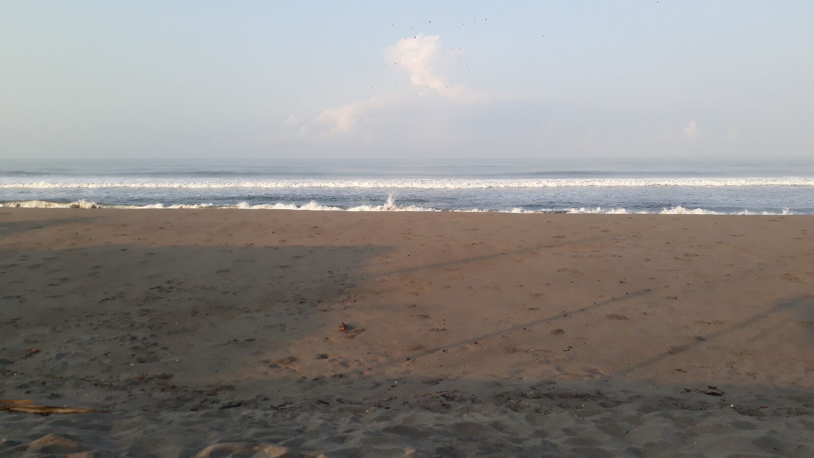 PALAPA LA BRISA image 9