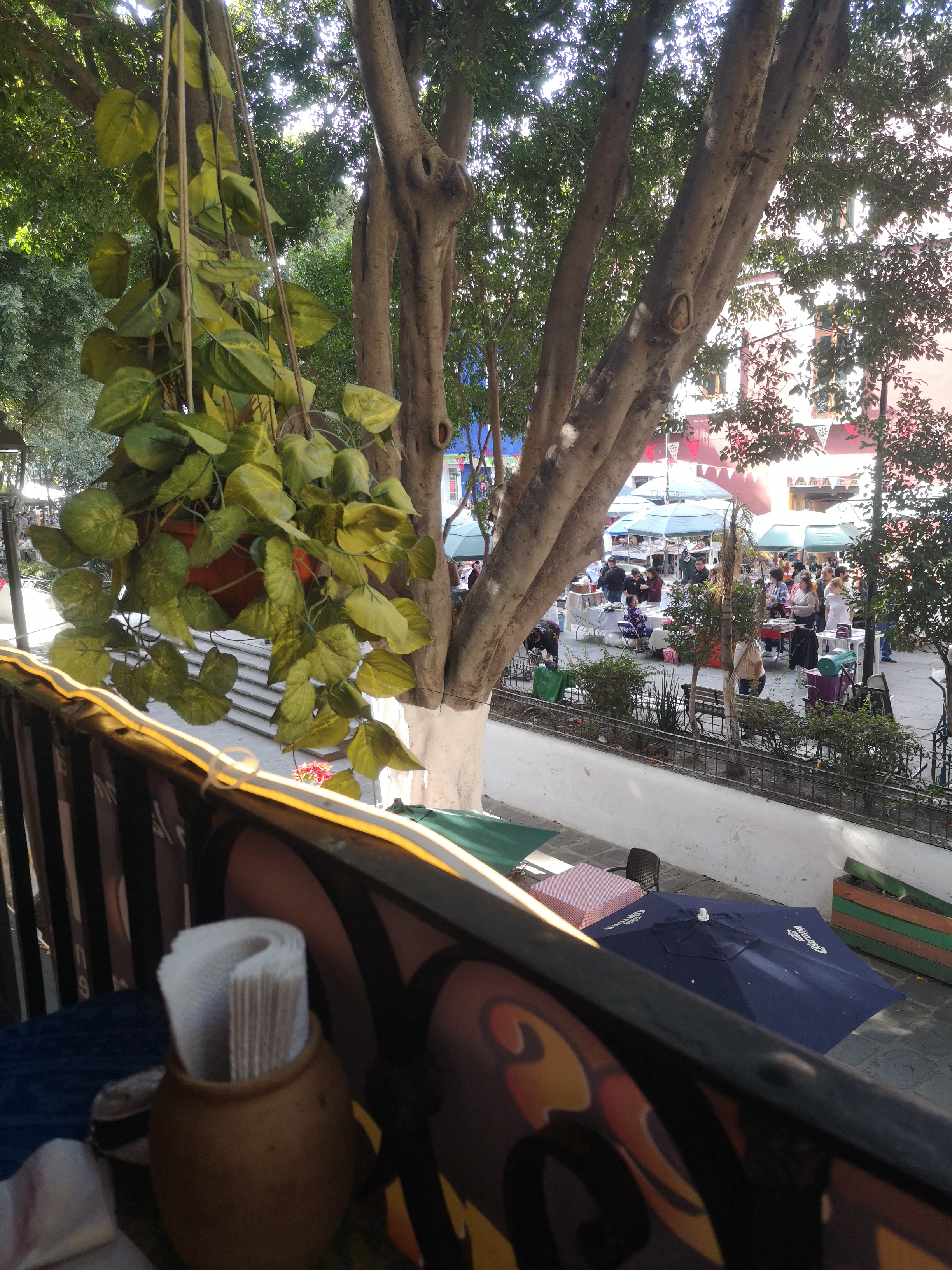 La mas bella image 6