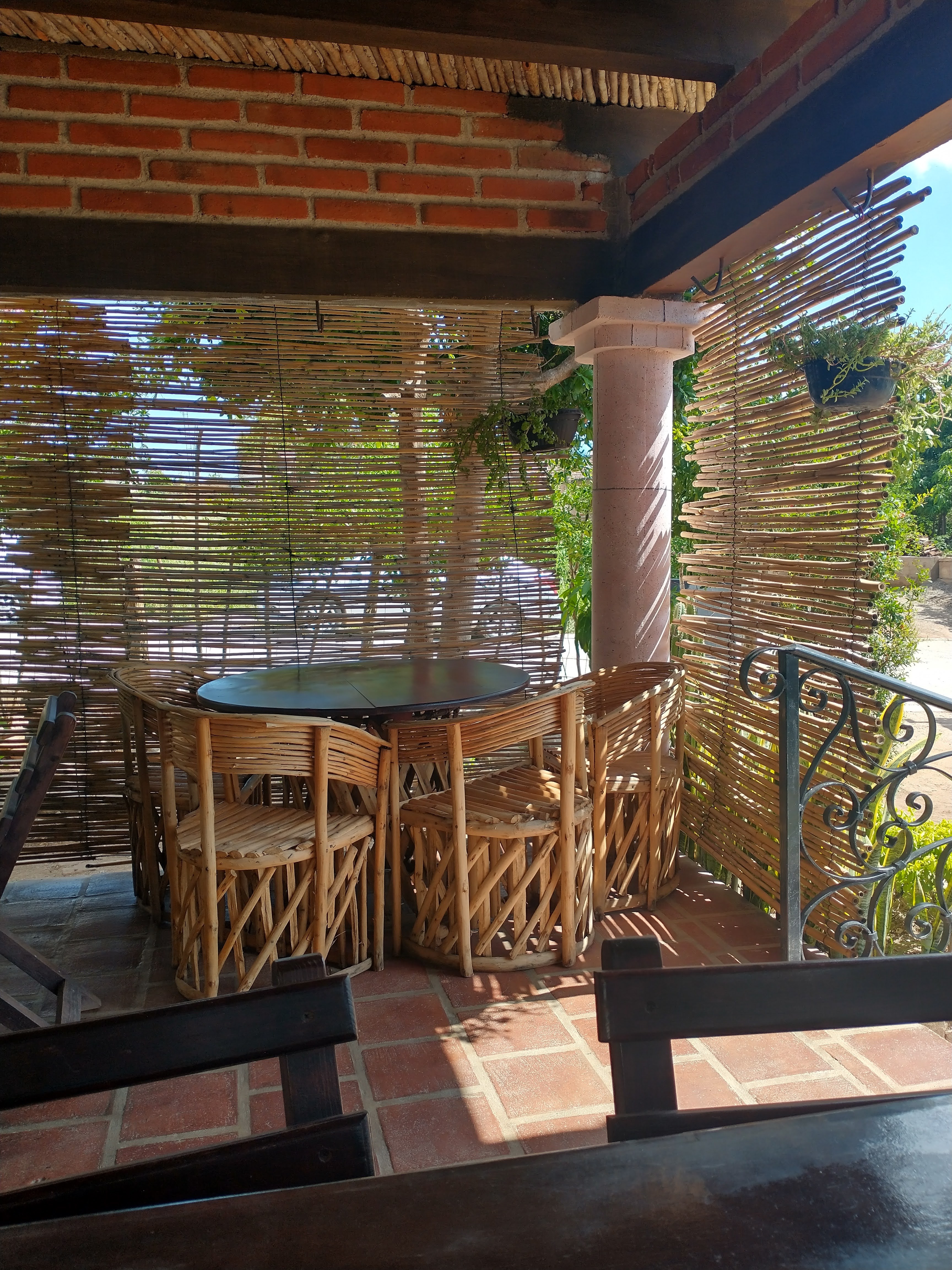 El coco loco image 1