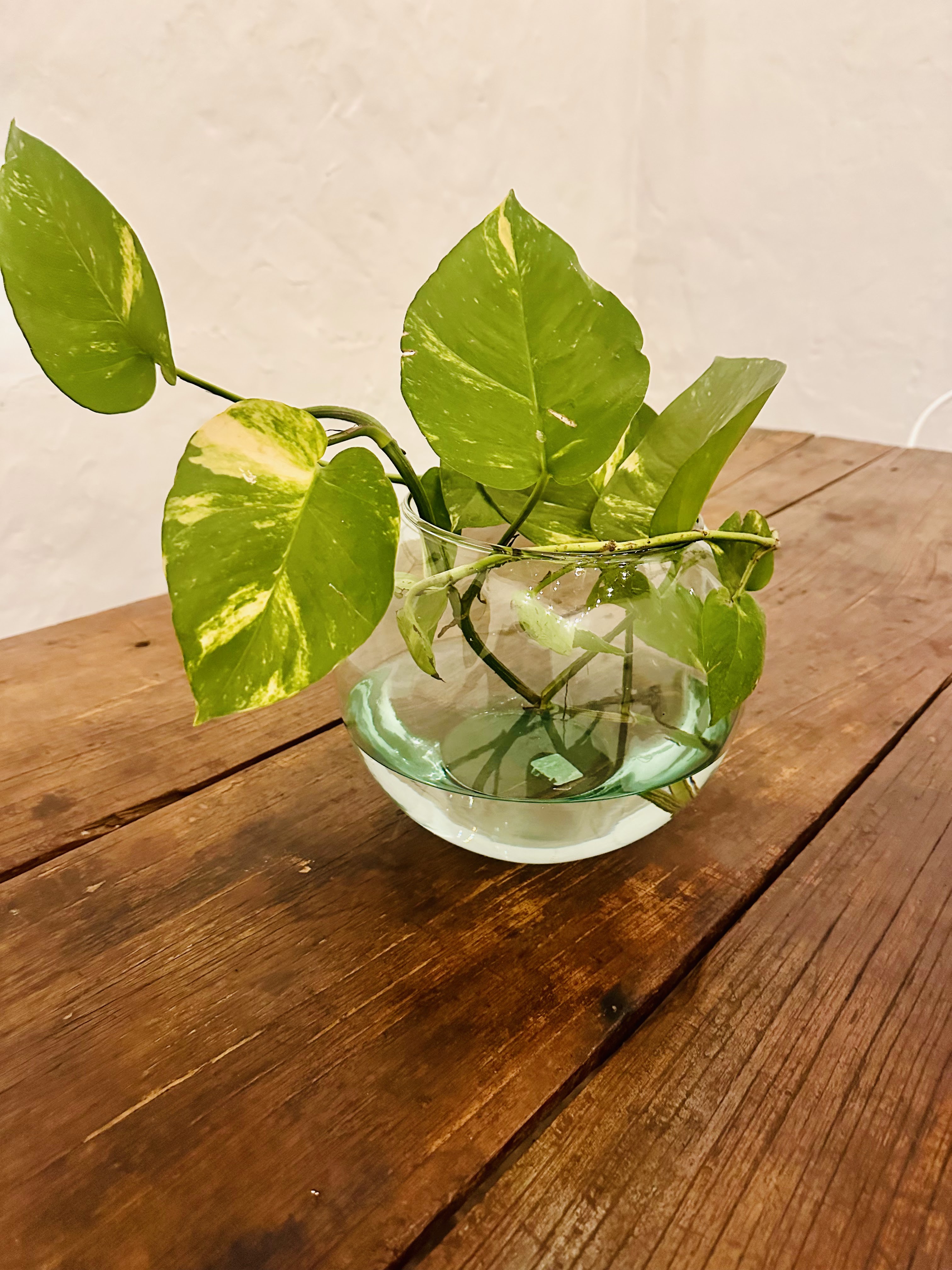 Casa Rosales 52 image 2