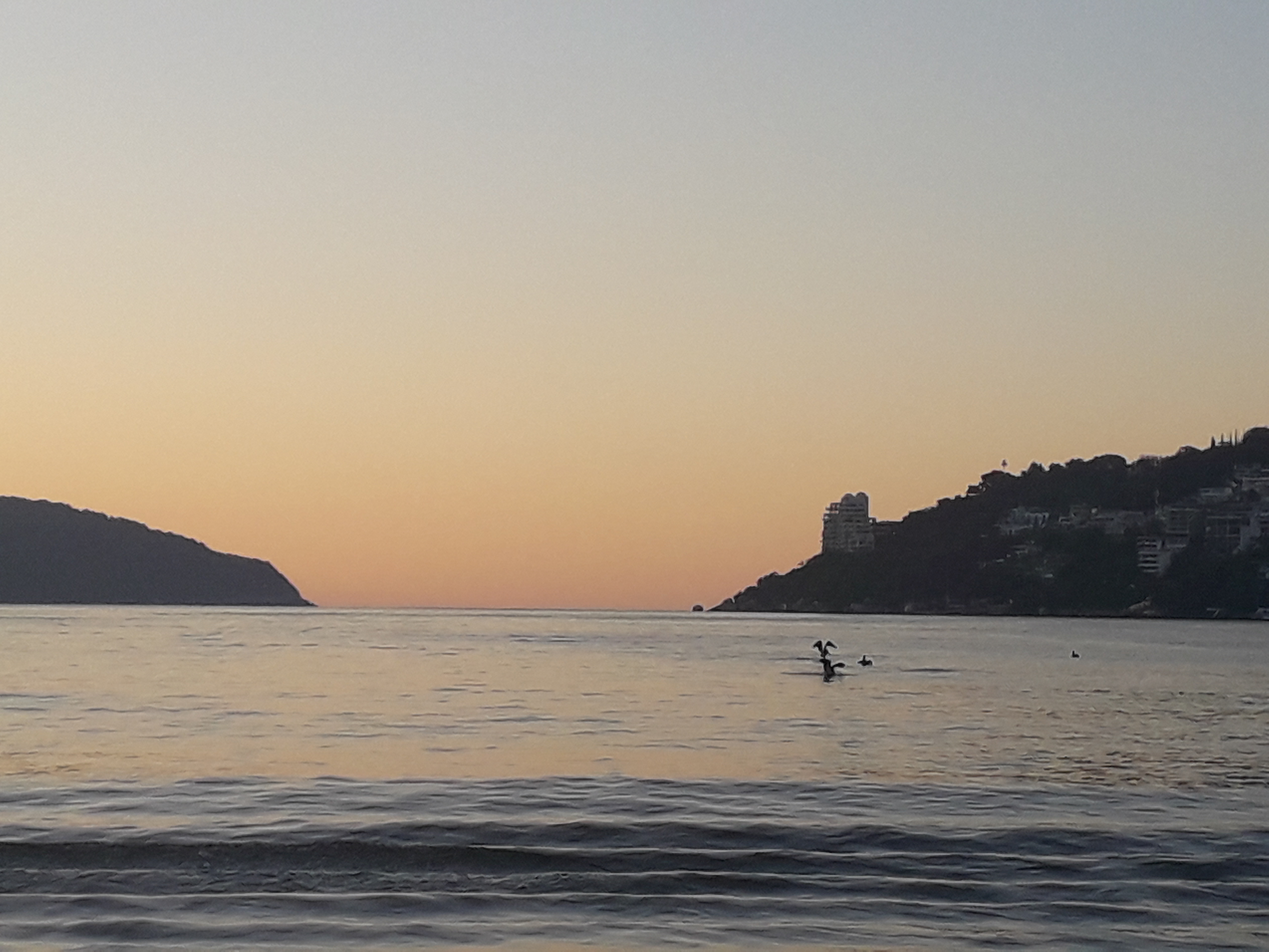 La Bella Italia image 6