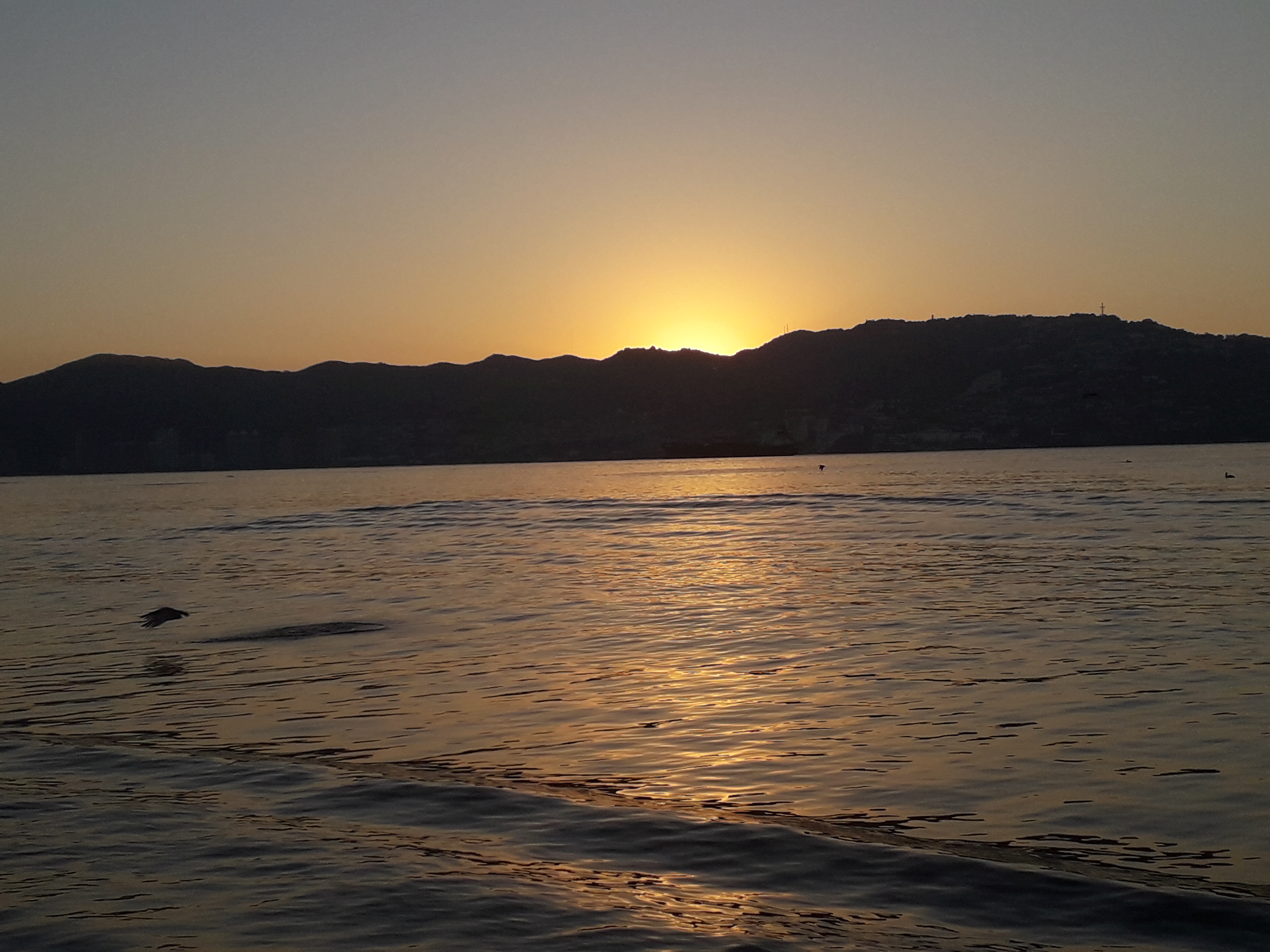 La Bella Italia image 9